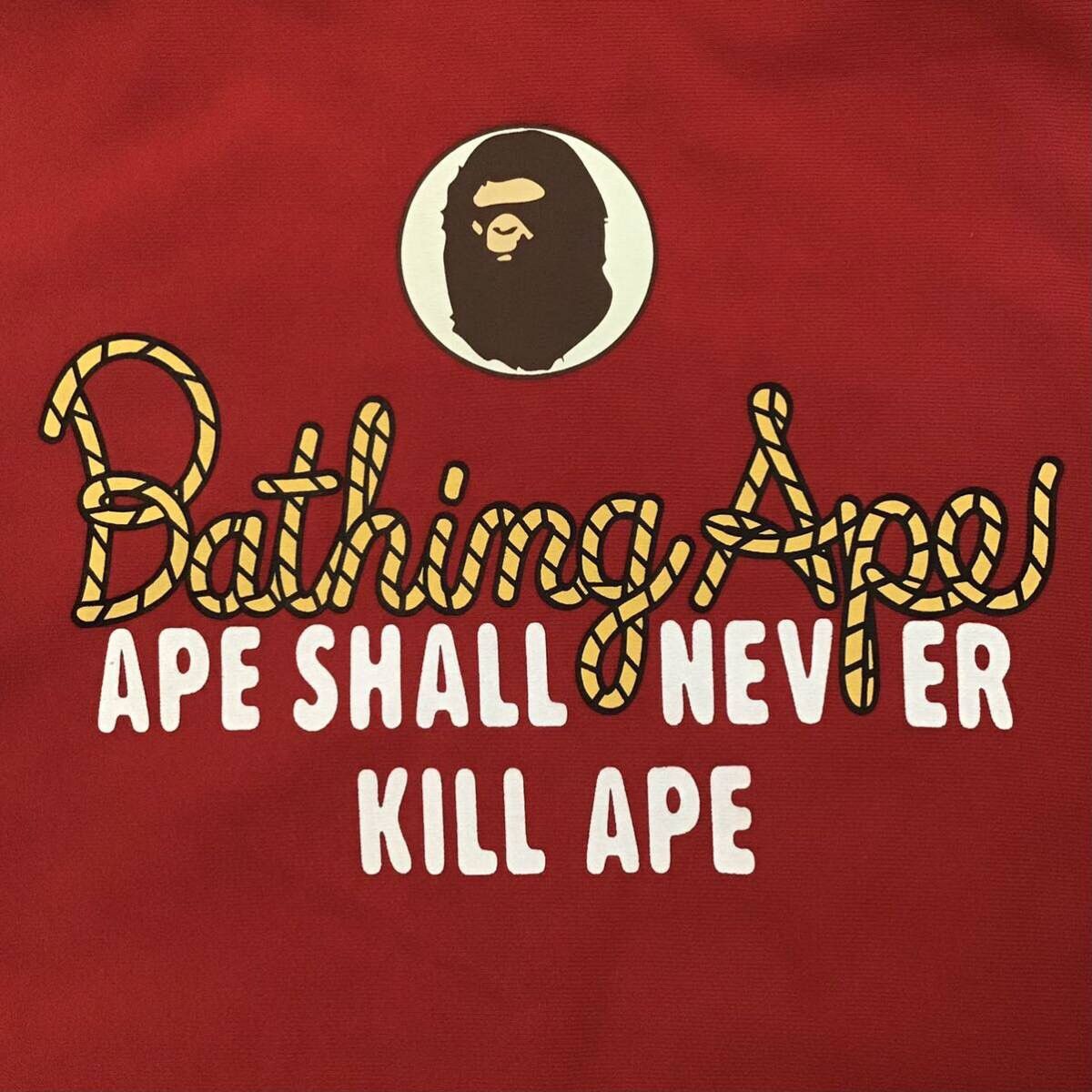 Bape × Nigo BAPE Rope logo full zip hoodie a bathing ape NIGO Size US S / EU 44-46 / 1 - 5 Thumbnail