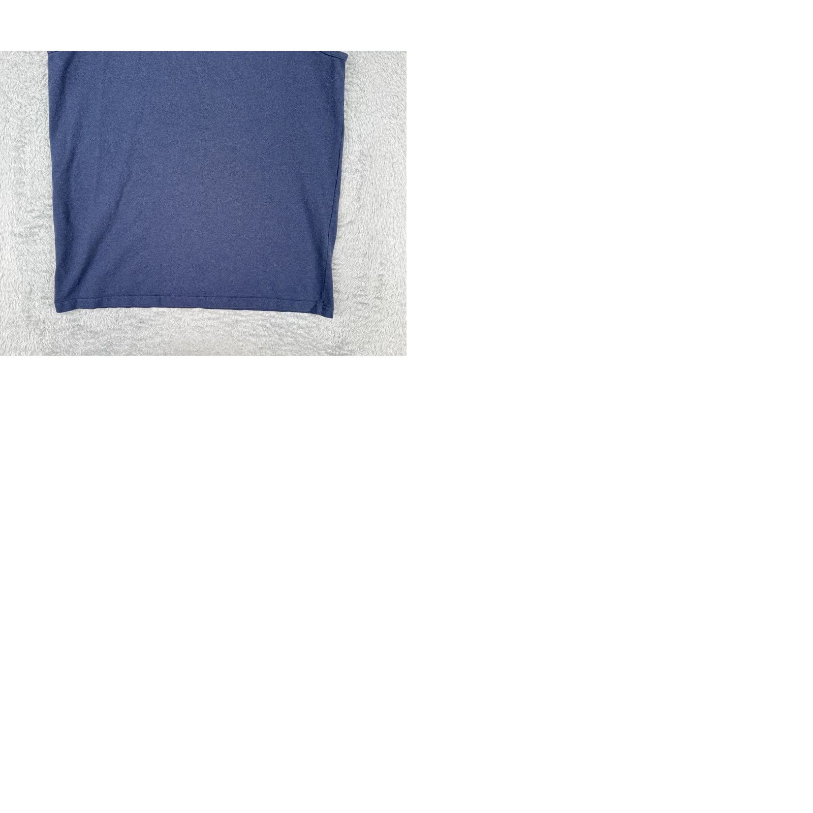 Patagonia Patagonia Shirt Womens Large Blue Tank Sleeveless Cotton Poly Blend Fitz Roy Size L / US 10 / IT 46 - 10 Thumbnail