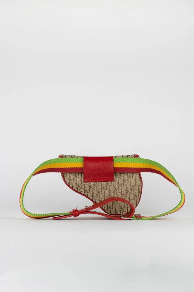 Dior Dior Rasta Trodder Saddle Belt Bag Size ONE SIZE - 4 Thumbnail