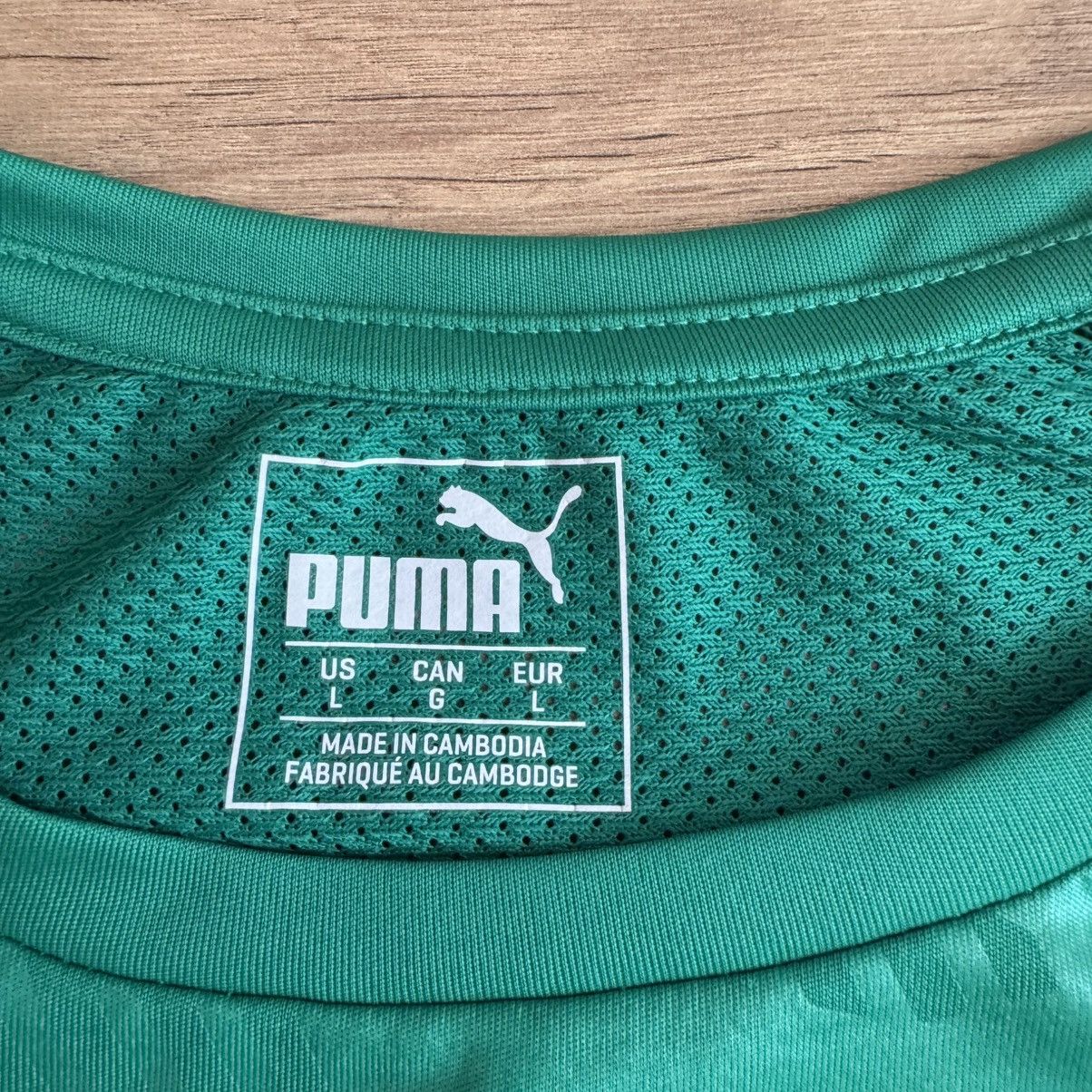 Puma PUMA Dry Cell T-shirt Reach Your Dreams Danish Tee Size US L / EU 52-54 / 3 - 2 Thumbnail