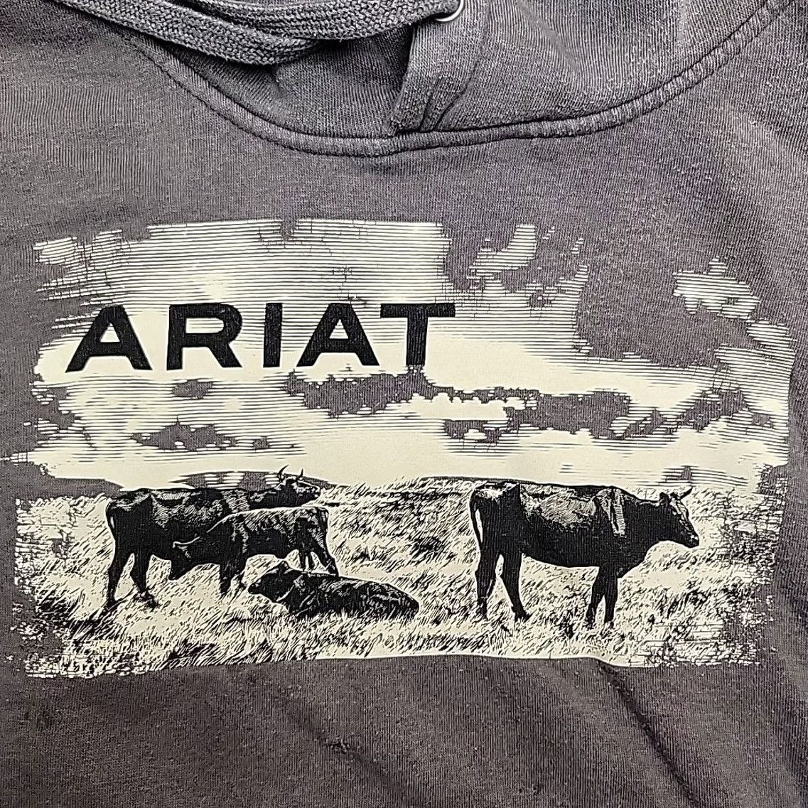 Ariat Ariat Hoodie Men M Gray Cattle Graphic Western Pullover Work Sweatshirt Size US M / EU 48-50 / 2 - 7 Thumbnail