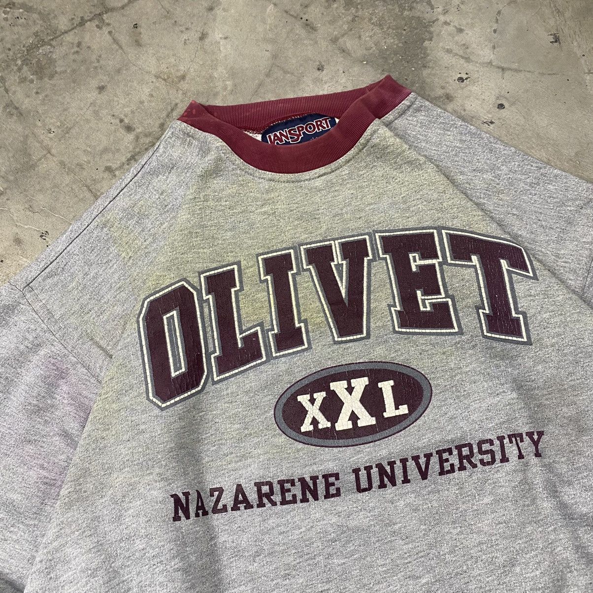 Jansport y2k Olivet Nazarene University Boxy Crewneck Size US L / EU 52-54 / 3 - 2 Thumbnail