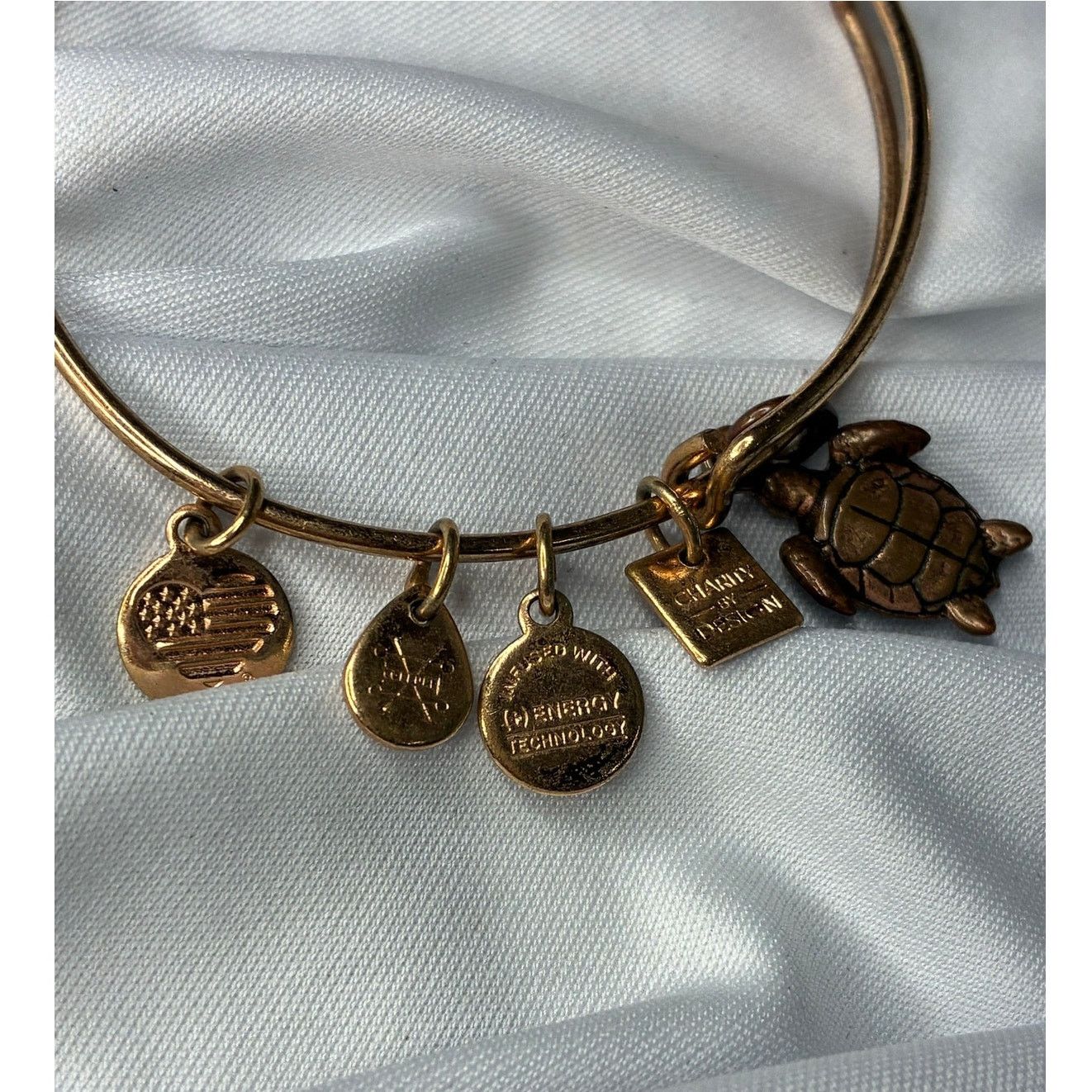 Other Alex and Ani Sea Turtle Bangle Bracelet Rafaelian Gold Tone Size ONE SIZE - 1 Thumbnail
