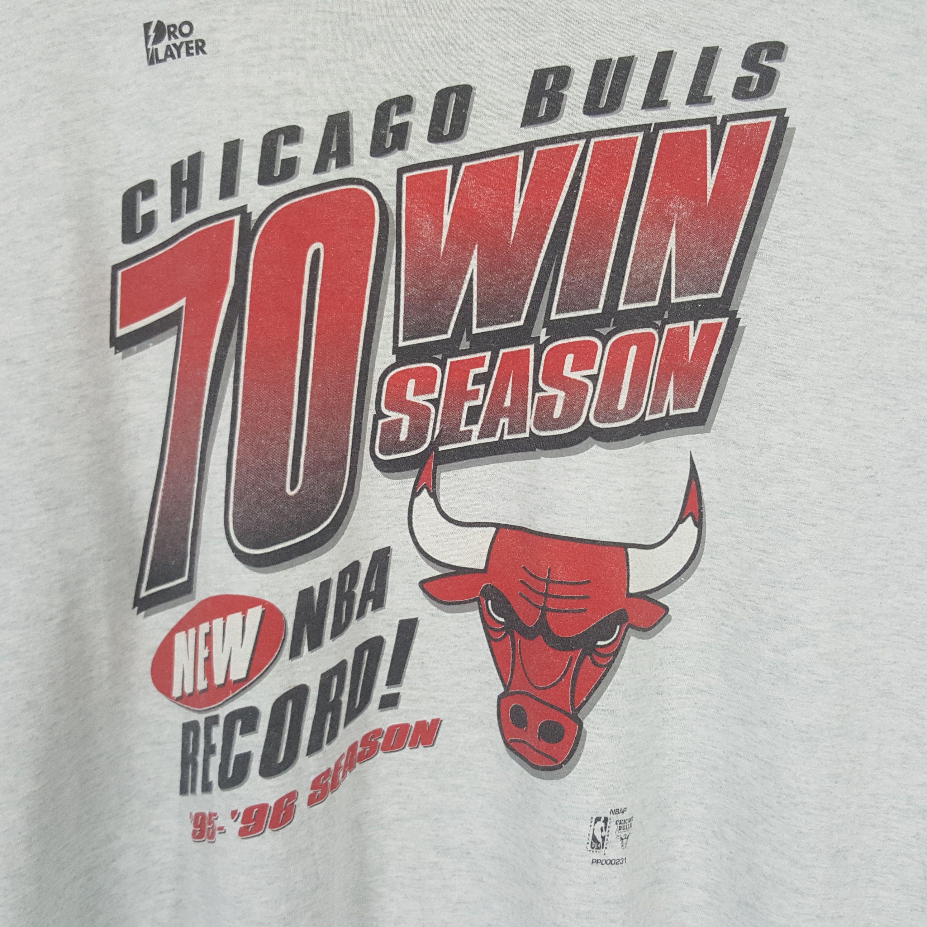 NBA Vintage 90's Chicago Bulls USA Basketball Team Tshirt 31 Size US XXL / EU 58 / 5 - 2 Thumbnail
