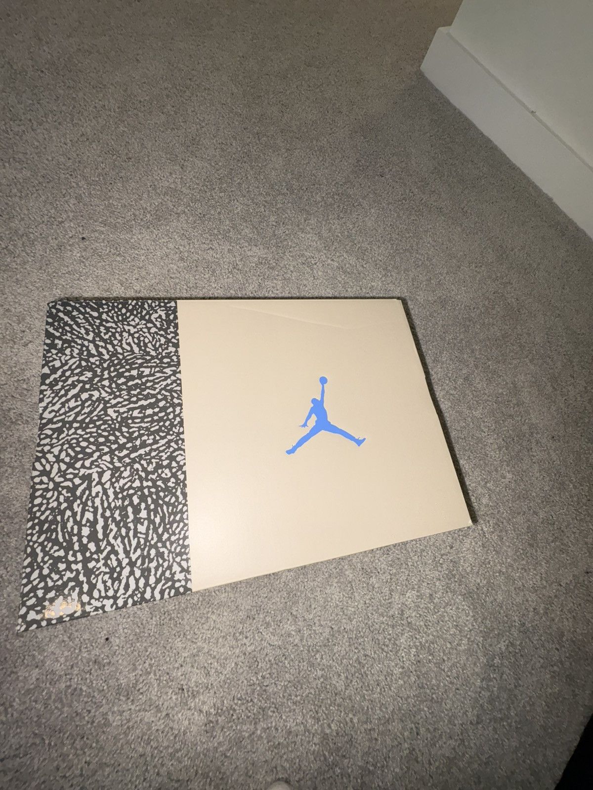 Jordan Brand × Nike Jordan 3 lucky shorts Size US 10 / EU 43 - 7 Thumbnail