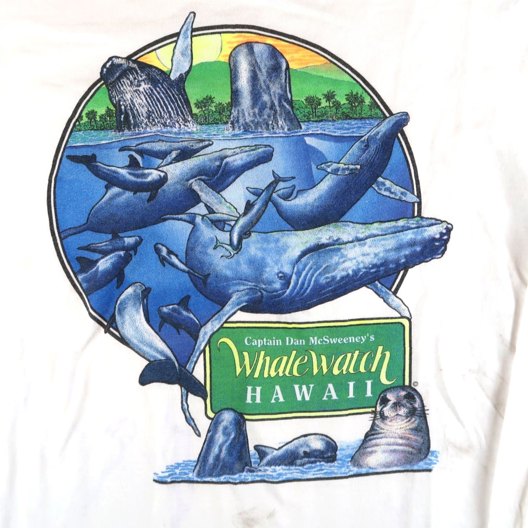 Anvil VINTAGE Dan McSweeney's Whale Watch Hawaii Surf Long Sleeve T-Shirt XL White Mens Graphic Print Cotton Crew Neck 2000s Size US XL / EU 56 / 4 - 3 Thumbnail