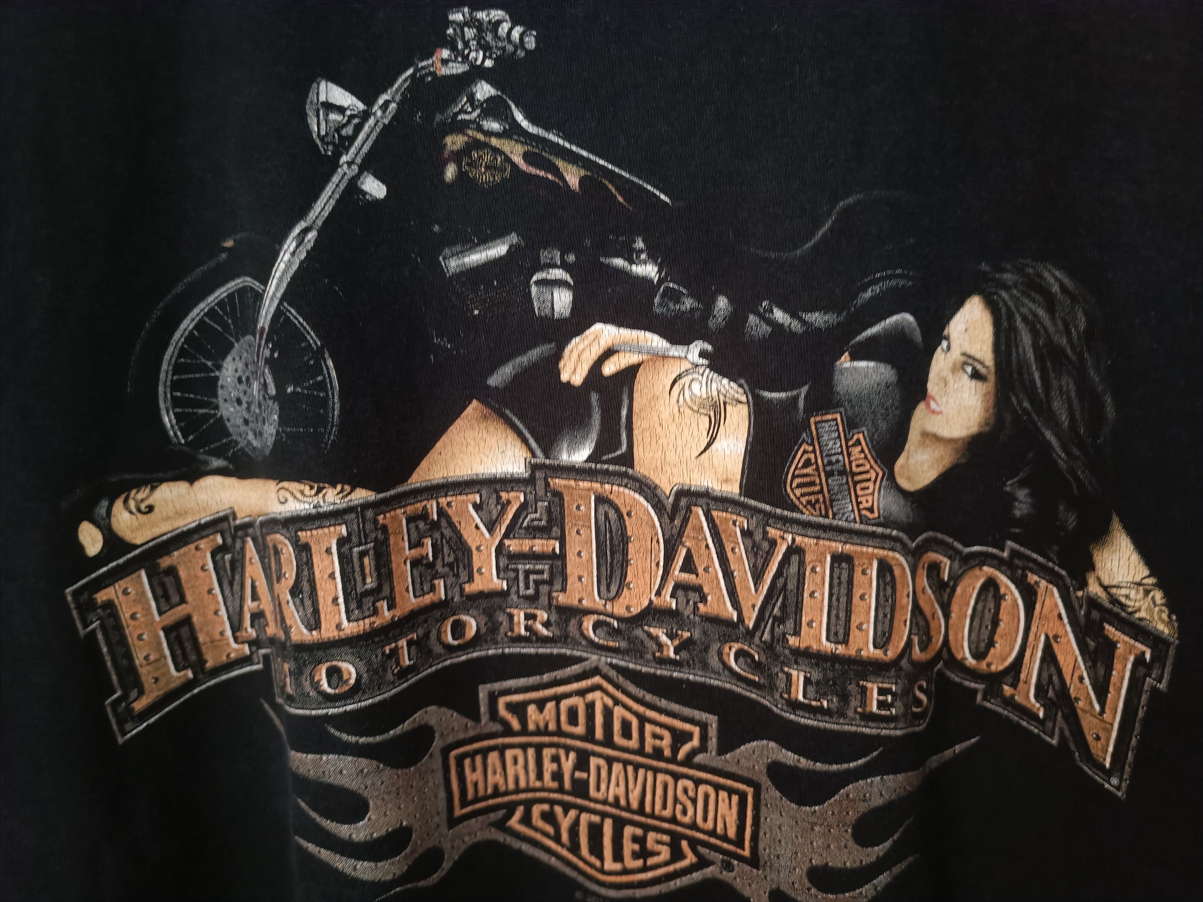 Harley Davidson ♦️2013 Harley Davidson T Shirt Size US L / EU 52-54 / 3 - 3 Thumbnail