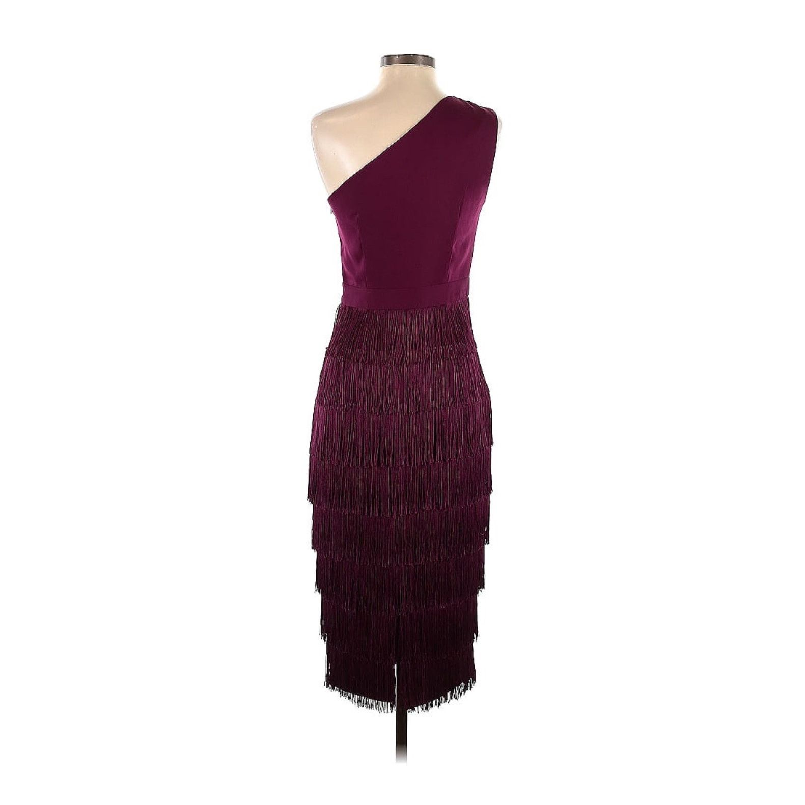 Other Lavish Alice One Shoulder Fringe Cocktail Dress size 4 Size S / US 4 / IT 40 - 2 Thumbnail