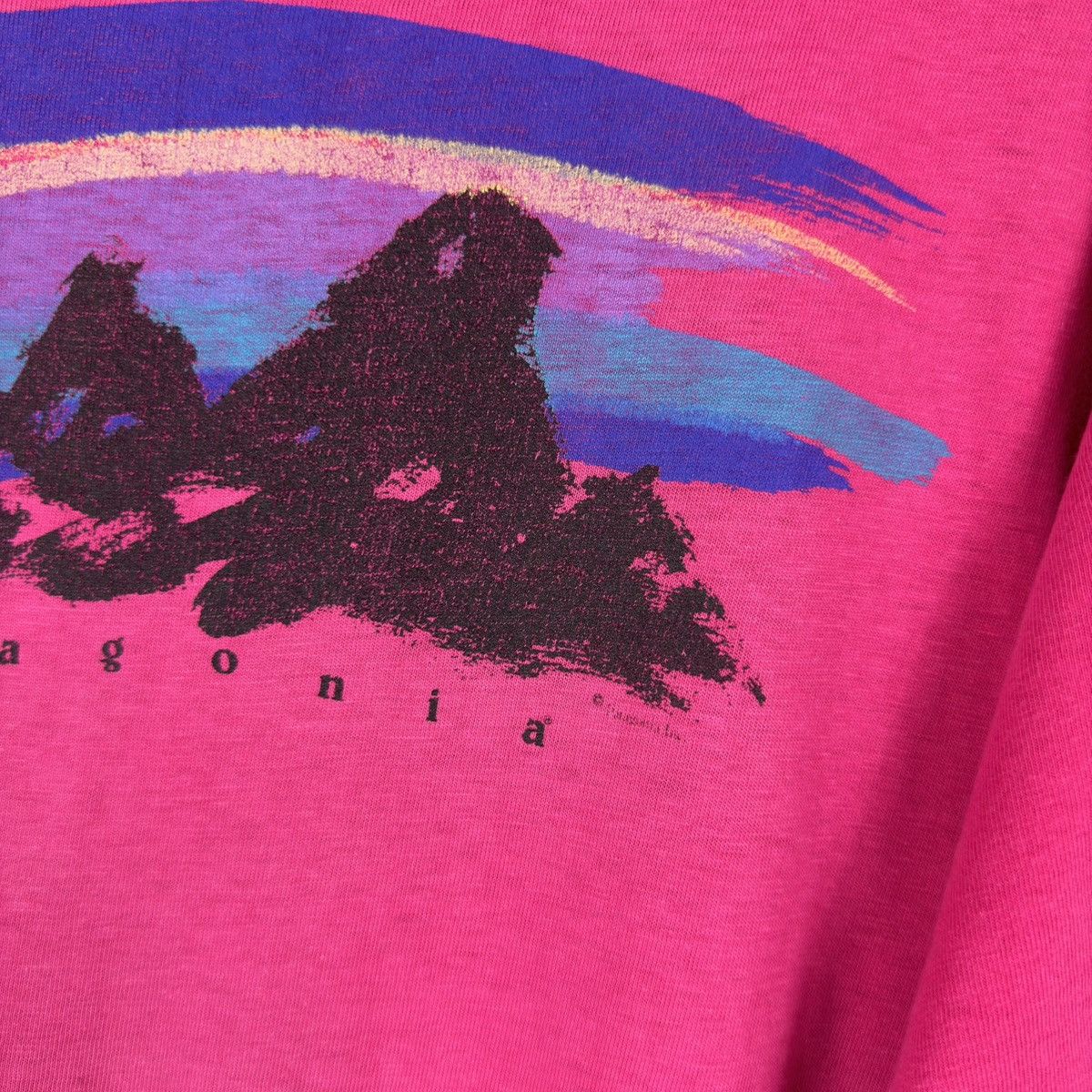 Patagonia RARE 1980s Patagonia Hanes Paintbrush Logo T-Shirt Tee old Size US L / EU 52-54 / 3 - 5 Thumbnail