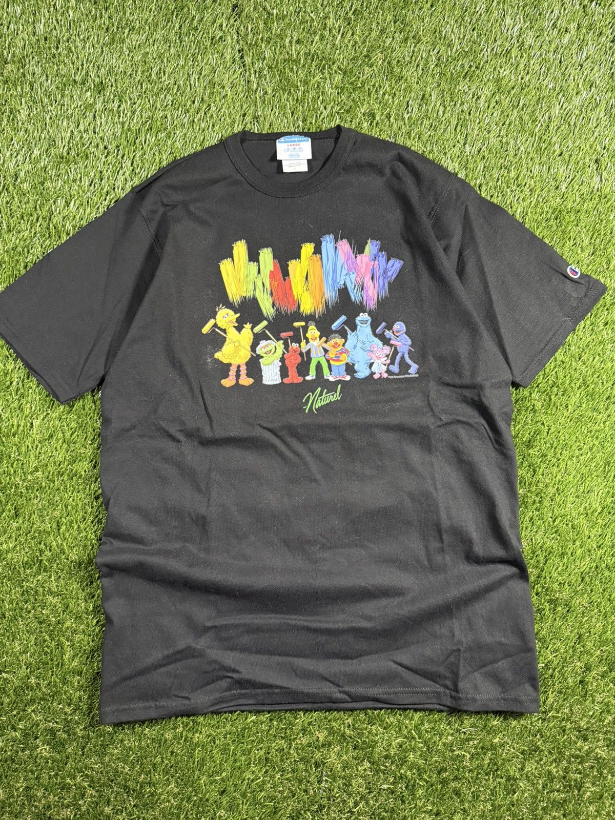Champion Y2k Sesame Street Champion Art Graphic Hype KAWS Style Tee Size US L / EU 52-54 / 3 - 1 Thumbnail