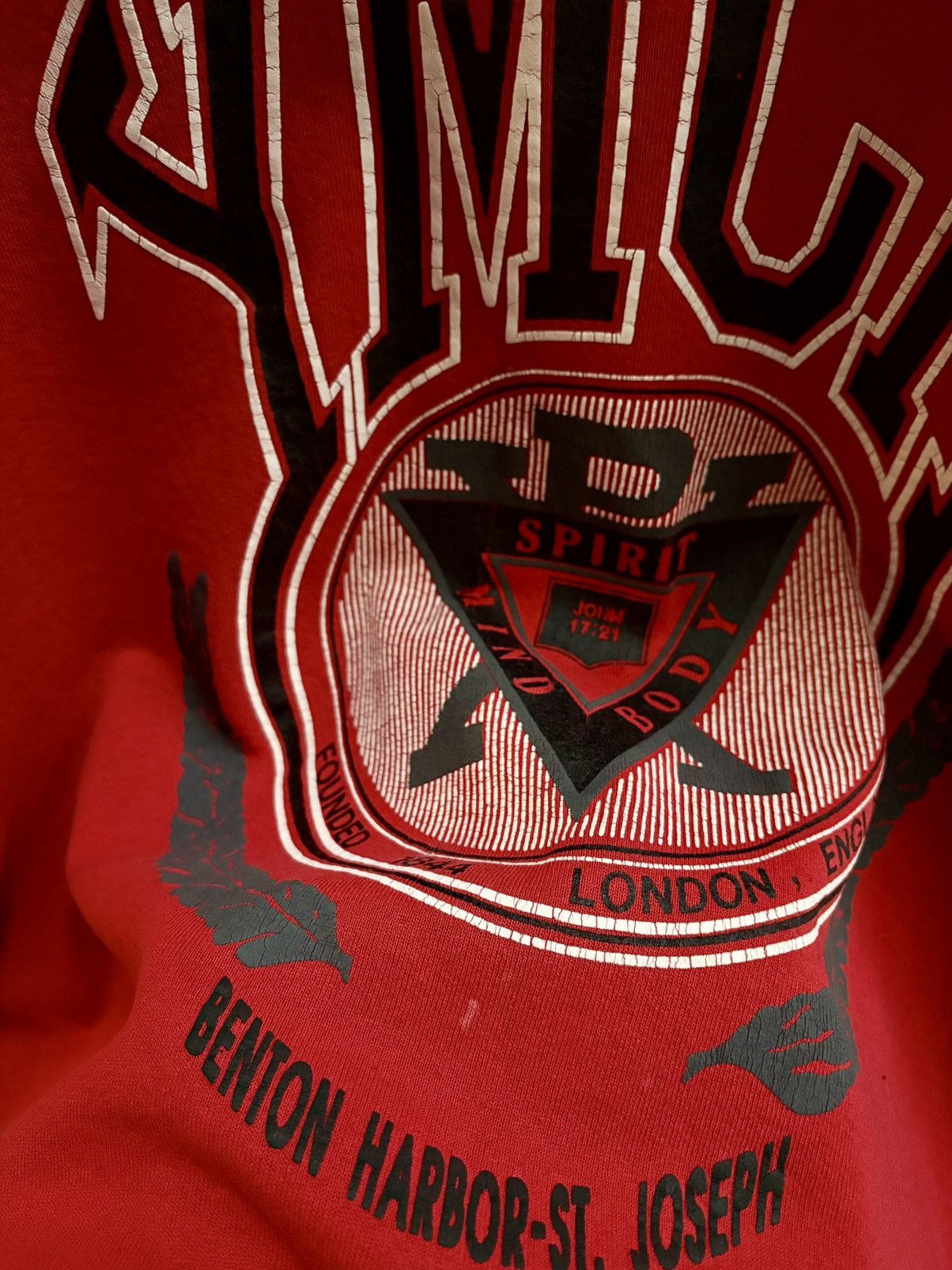Vintage YMCA vintage 90s Mind Body Spirit crewneck XL Oneita Size US XL / EU 56 / 4 - 3 Thumbnail