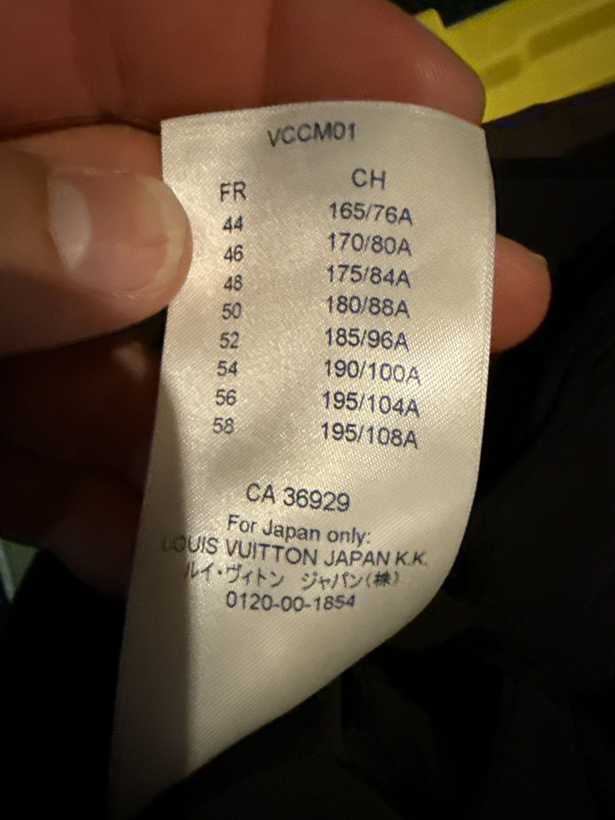 Louis Vuitton Louis Vuitton 2054 Anorak jacket Size US XL / EU 56 / 4 - 14 Thumbnail