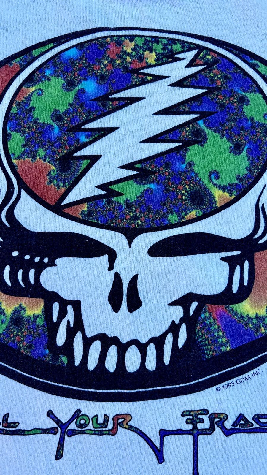 Grateful Dead 1993 Grateful Dead ‘Steal Your Fractal’ Tour shirt 1993 Size US XL / EU 56 / 4 - 2 Thumbnail