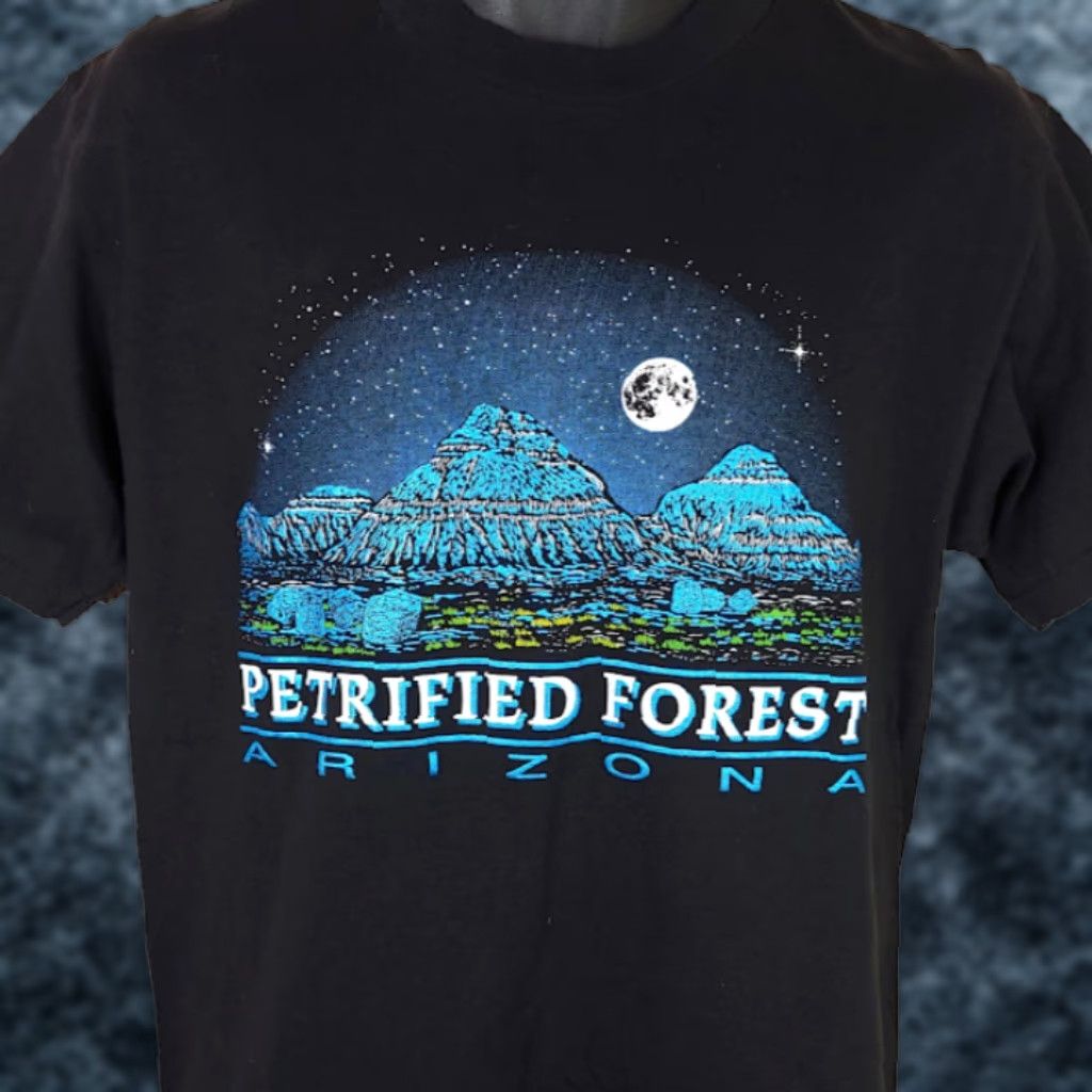 Vintage VINTAGE Petrified Forest National Park T Shirt Mens Size Medium 90s Made In USA Size US M / EU 48-50 / 2 - 1 Thumbnail