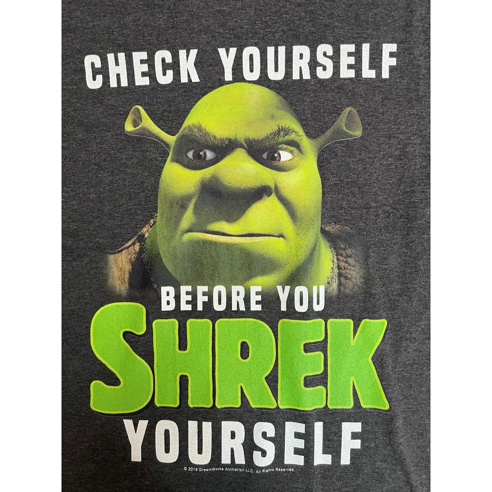 Other Shrek T-Shirt Check Yourself Before You Shrek Yourself Large Size US L / EU 52-54 / 3 - 3 Thumbnail