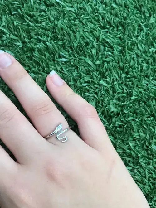 Homemade × Ring Of Fire Snake Ring (Adjustable size) Size ONE SIZE - 4 Thumbnail