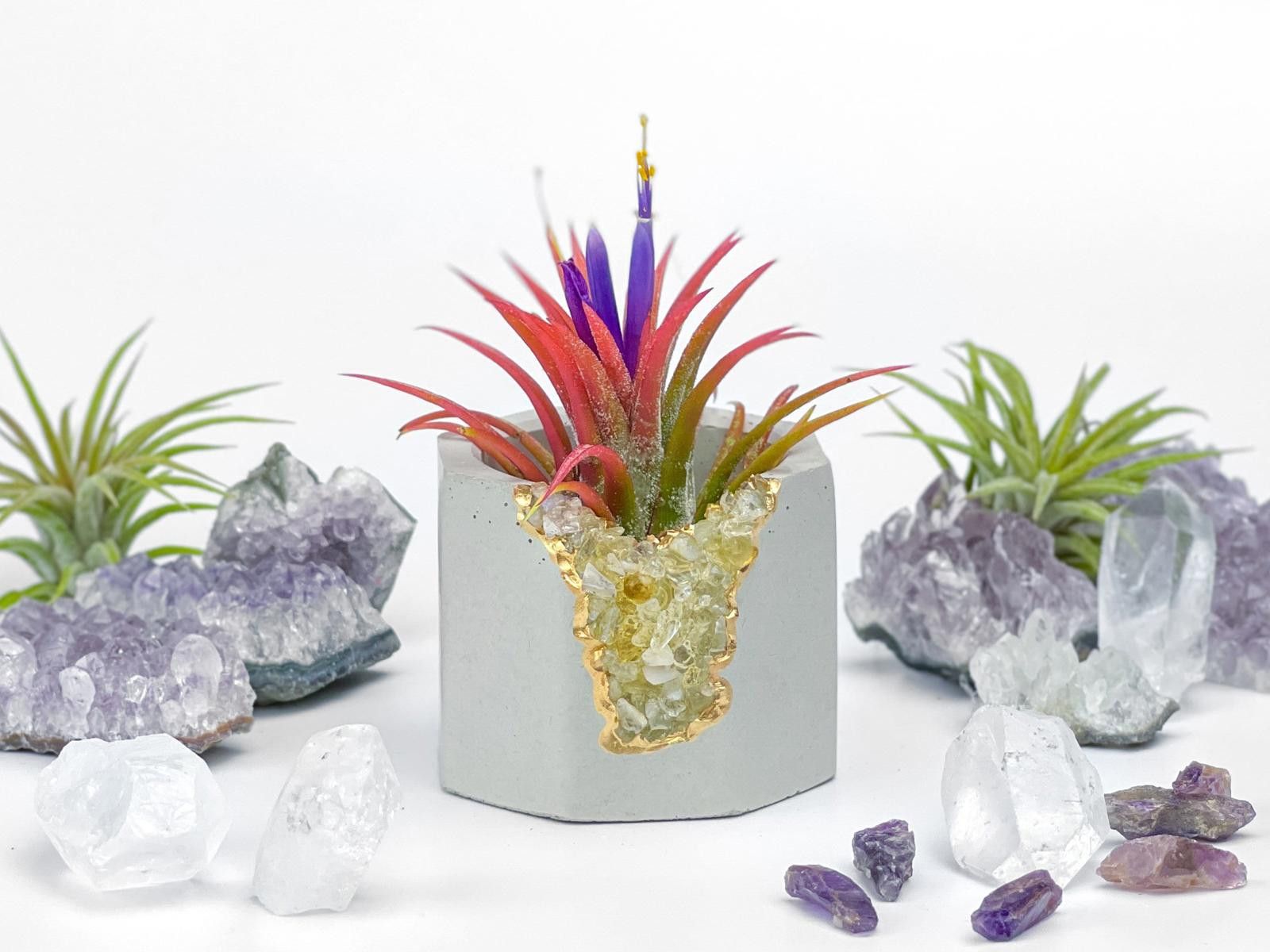 Other Geode Plant Holder Tumbled Citrine Stone Pot Air Plant gift Size ONE SIZE - 1 Thumbnail