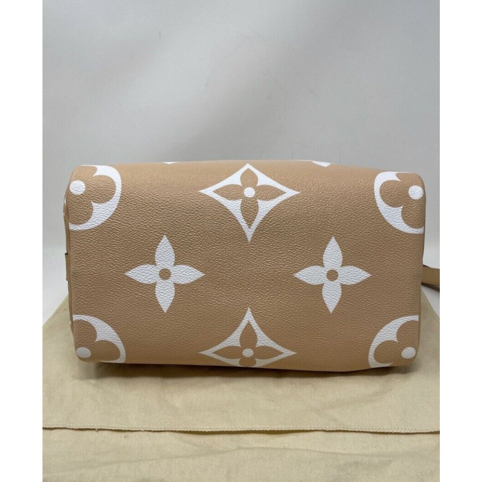Louis Vuitton Louis Vuitton Speedy 25 Bandouliere By the Pool Mist Color Size ONE SIZE - 10 Thumbnail