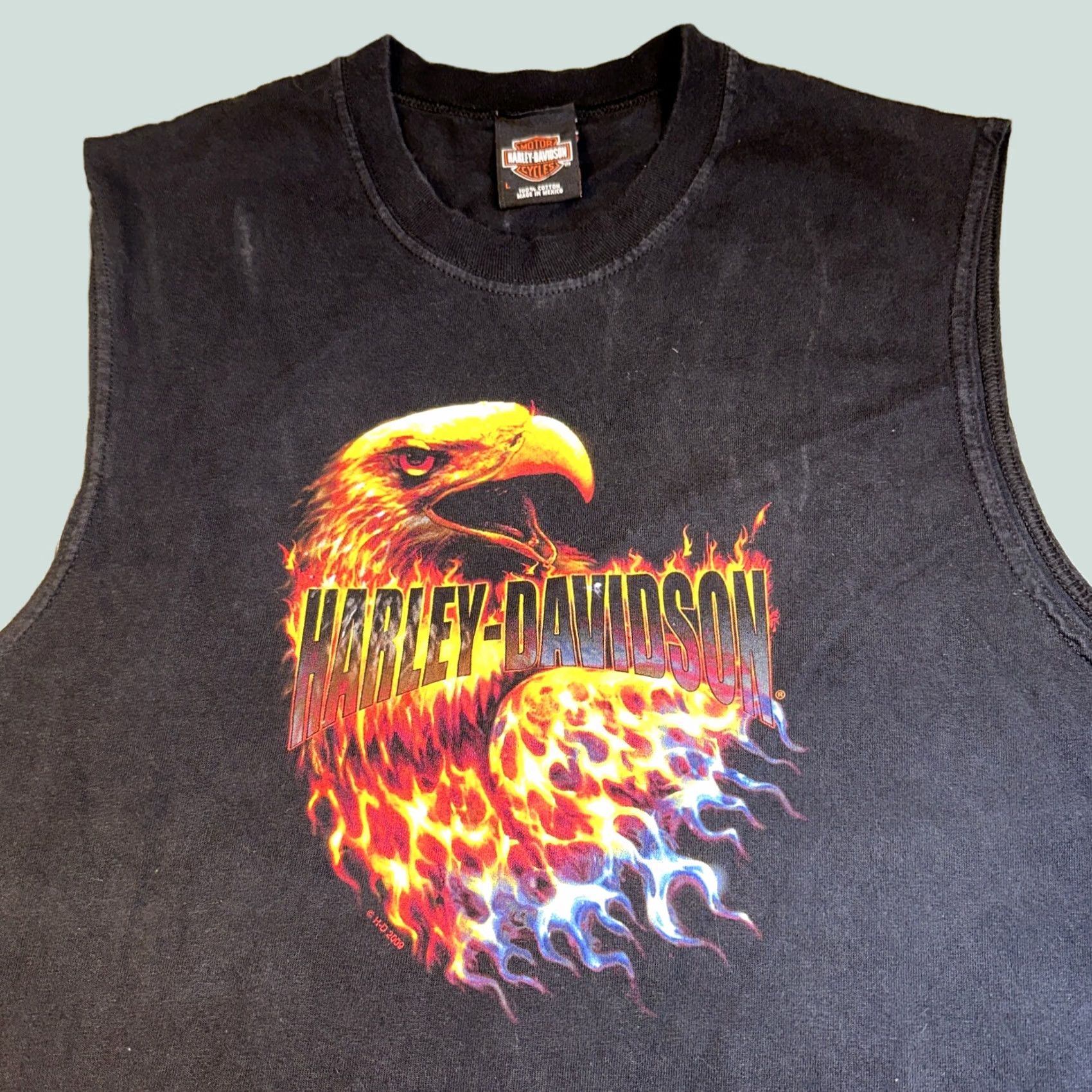 Harley Davidson Harley-Davidson T-Shirt Mens M Black Eagle Flames Sleeveless Y2K Vintage Logo 90s Biker Ride On Size US L / EU 52-54 / 3 - 1 Thumbnail