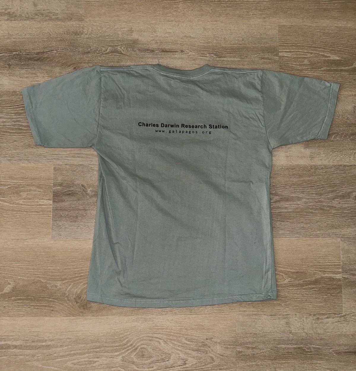 Other Charles Darwin Center Ornithology Galapagos Penguins T-Shirt Size US XL / EU 56 / 4 - 2 Thumbnail