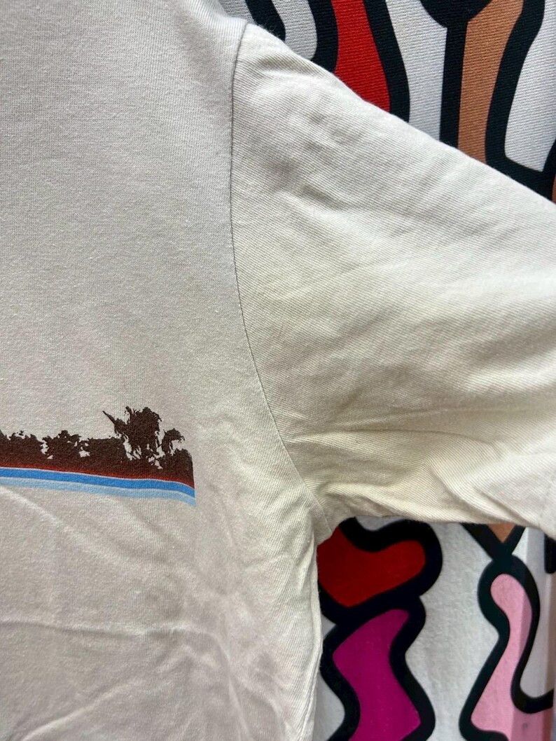 Band Tees Vintage 2000s Brian Wilson tshirt size XXL fits like XL Size US XL / EU 56 / 4 - 7 Thumbnail