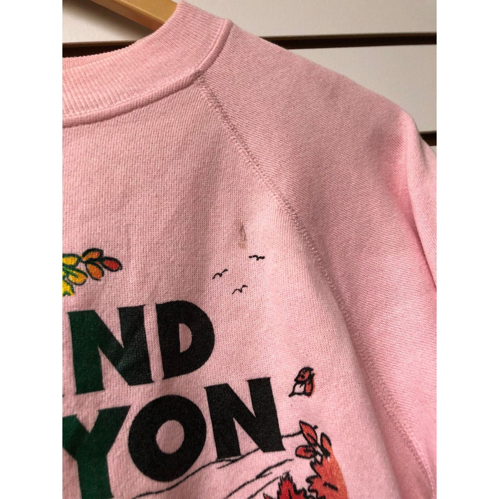 Hanes Vintage Grand Canyon Sweatshirt size medium 1990s 80s Size US M / EU 48-50 / 2 - 3 Thumbnail