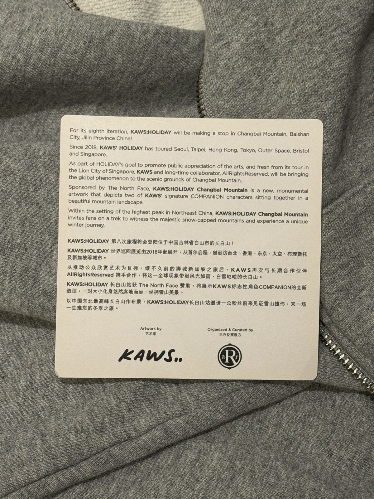Kaws RARE KAWS Holiday Changbai Mountain Zip Hoodie Size US L / EU 52-54 / 3 - 8 Thumbnail