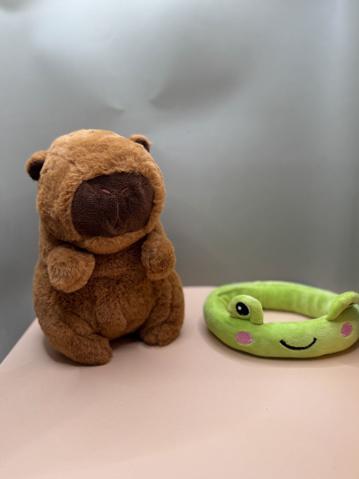 Disney Capybara Plush Toy Size ONE SIZE - 5 Thumbnail