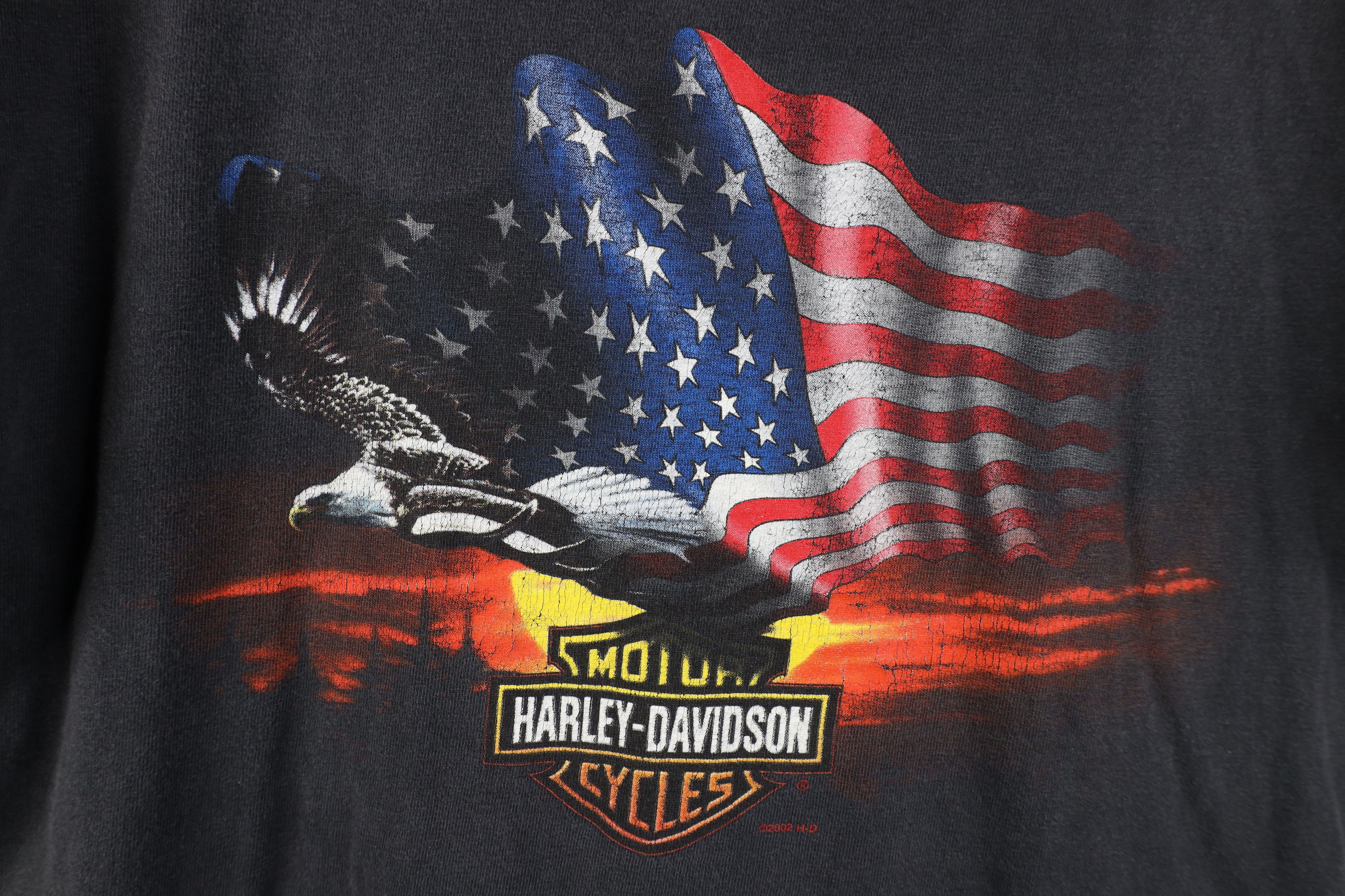 Harley Davidson Vintage Y2k 2002 Harley Davidson Eagle Flag T-Shirt USA Size US L / EU 52-54 / 3 - 4 Thumbnail