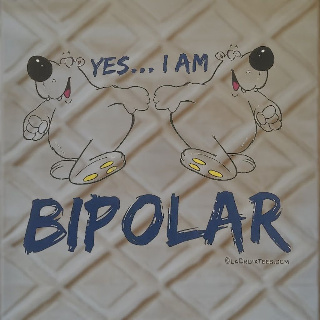 Gildan Yes I Am Bipolar T Shirt Polar Bears LaCroix Tees XL Vintage Gildan White Crew Neck Short Sleeve Mens Graphic Tee Size US XL / EU 56 / 4 - 1 Thumbnail