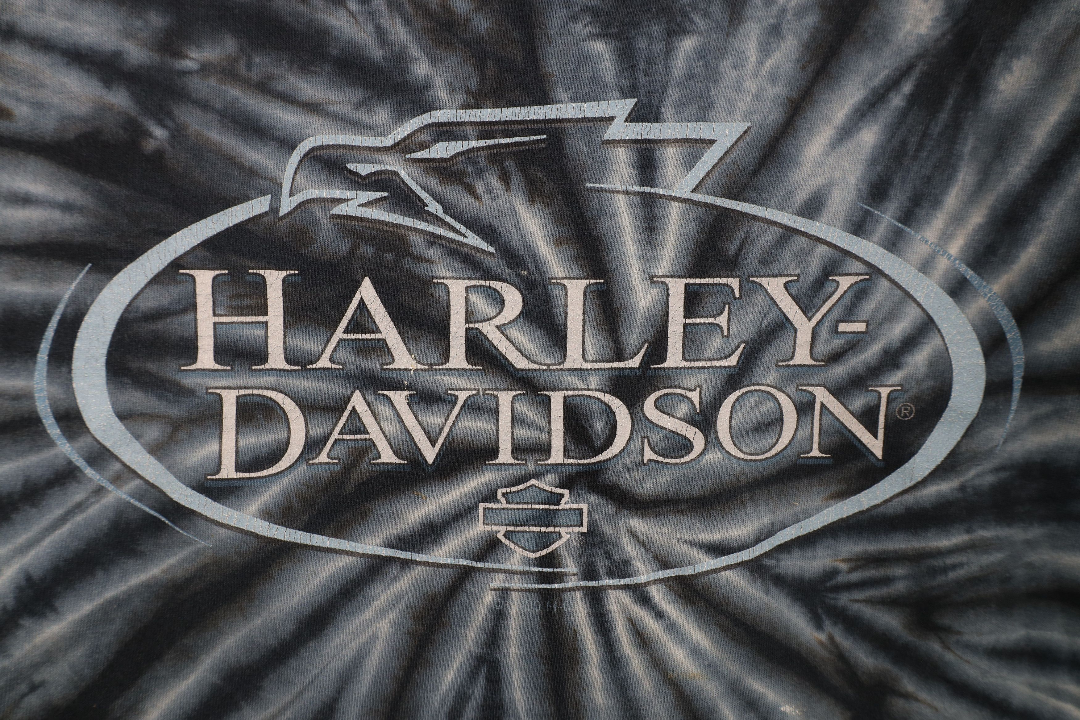 Harley Davidson Vintage Y2K 2000 Harley Davidson Tie Dye Eagle T-Shirt Size US L / EU 52-54 / 3 - 4 Thumbnail