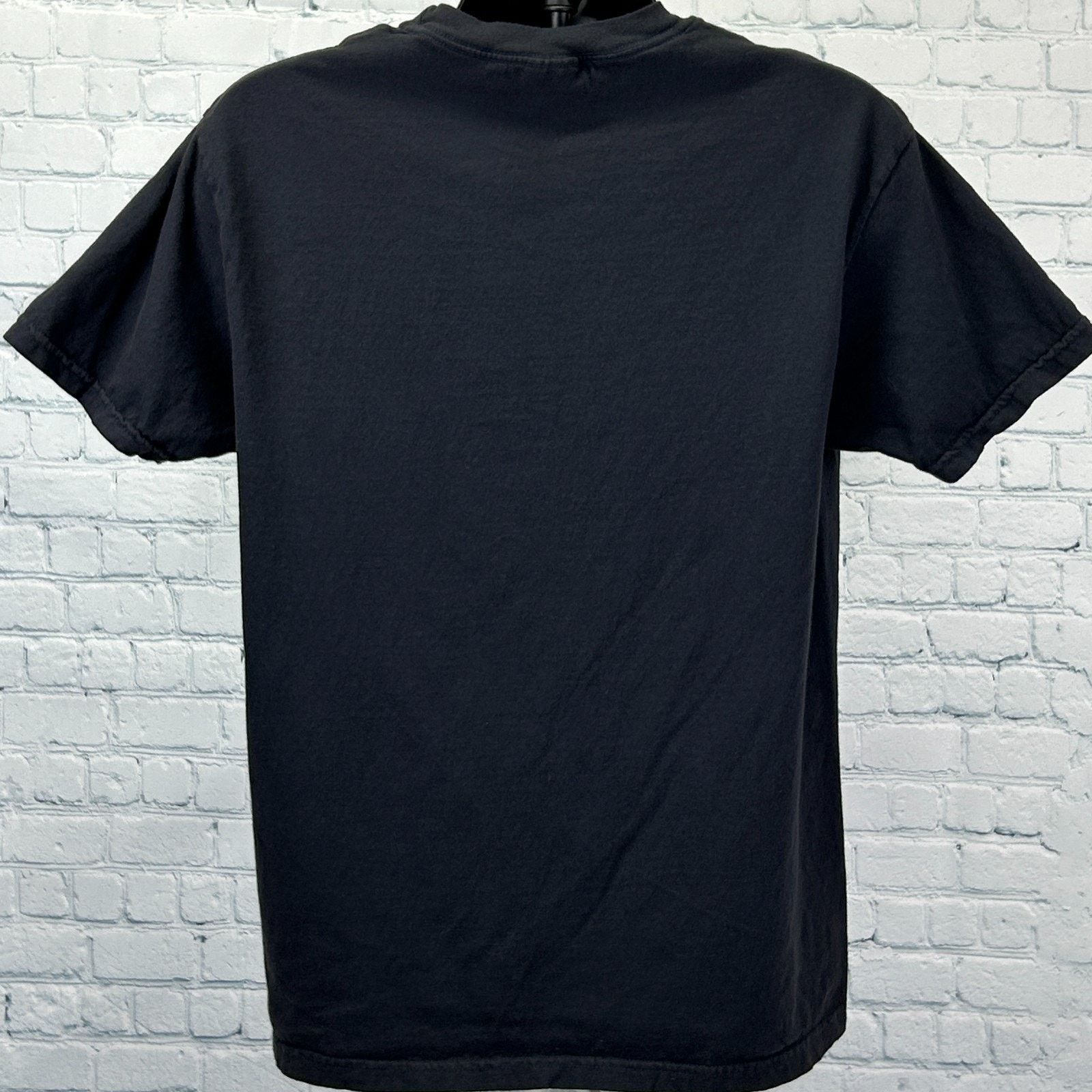Comfort Colors Mitchell Tenpenny T Shirt Country Western Pop L Large Size US L / EU 52-54 / 3 - 3 Thumbnail