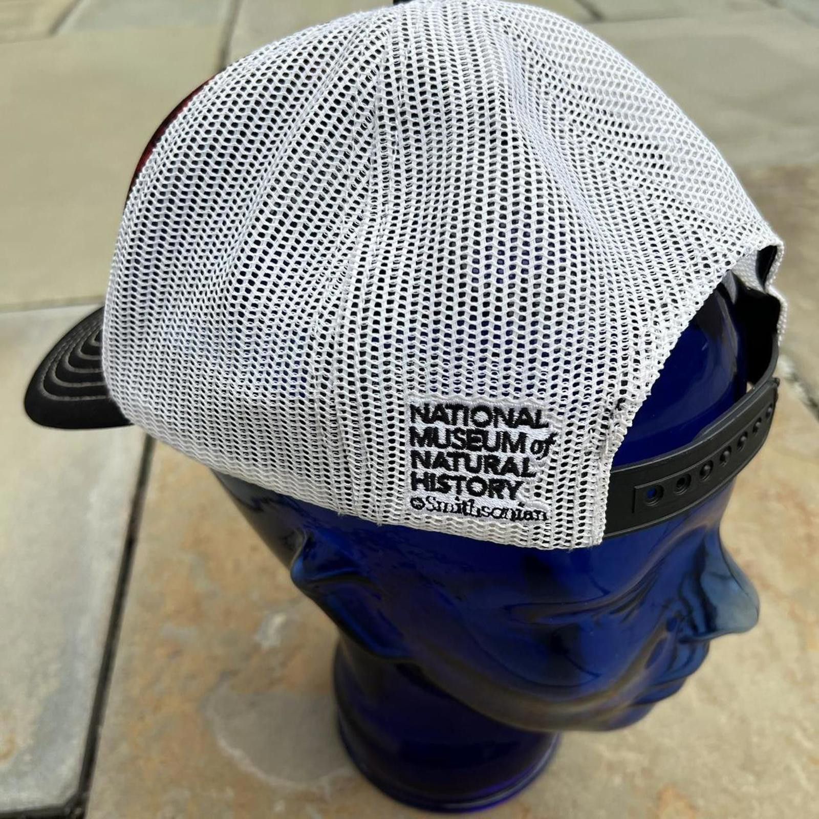 The Mountain T-Rex Dinosaurs Mesh Trucker Hat Size ONE SIZE - 5 Thumbnail