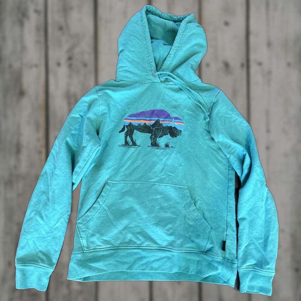 Patagonia Patagonia Hoodie Unisex Adults S Gray Turquoise Teal Fitz Roy Bison Uprisal Pullover Buffalo Jacket Small Size US S / EU 44-46 / 1 - 1 Thumbnail