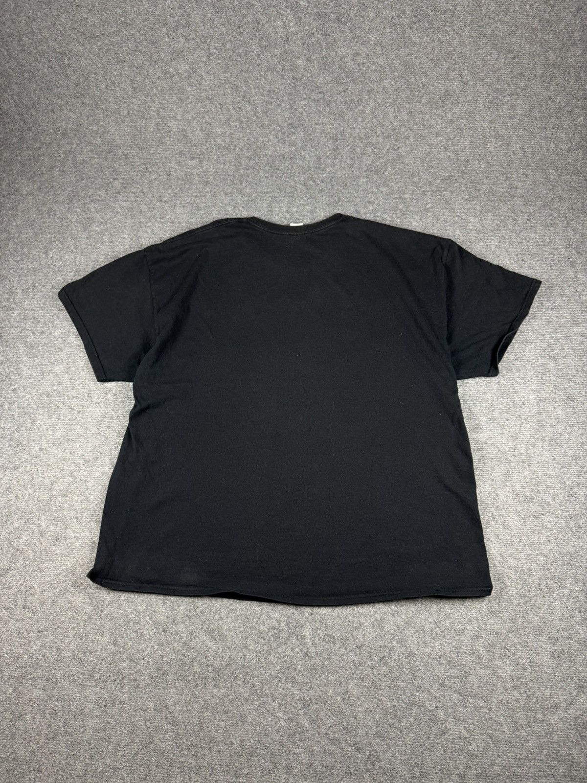 Gildan Ever Ride A Fatboy Want To Tshirt printed y2k funny meme Size US XXL / EU 58 / 5 - 7 Thumbnail