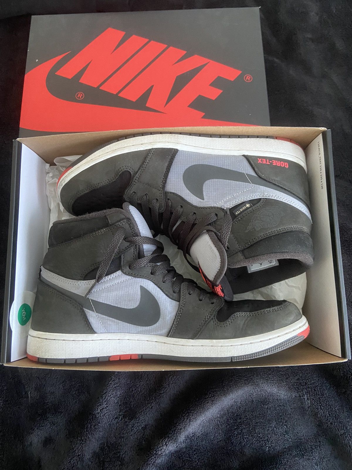 Jordan AJ 1 Element GoreTex