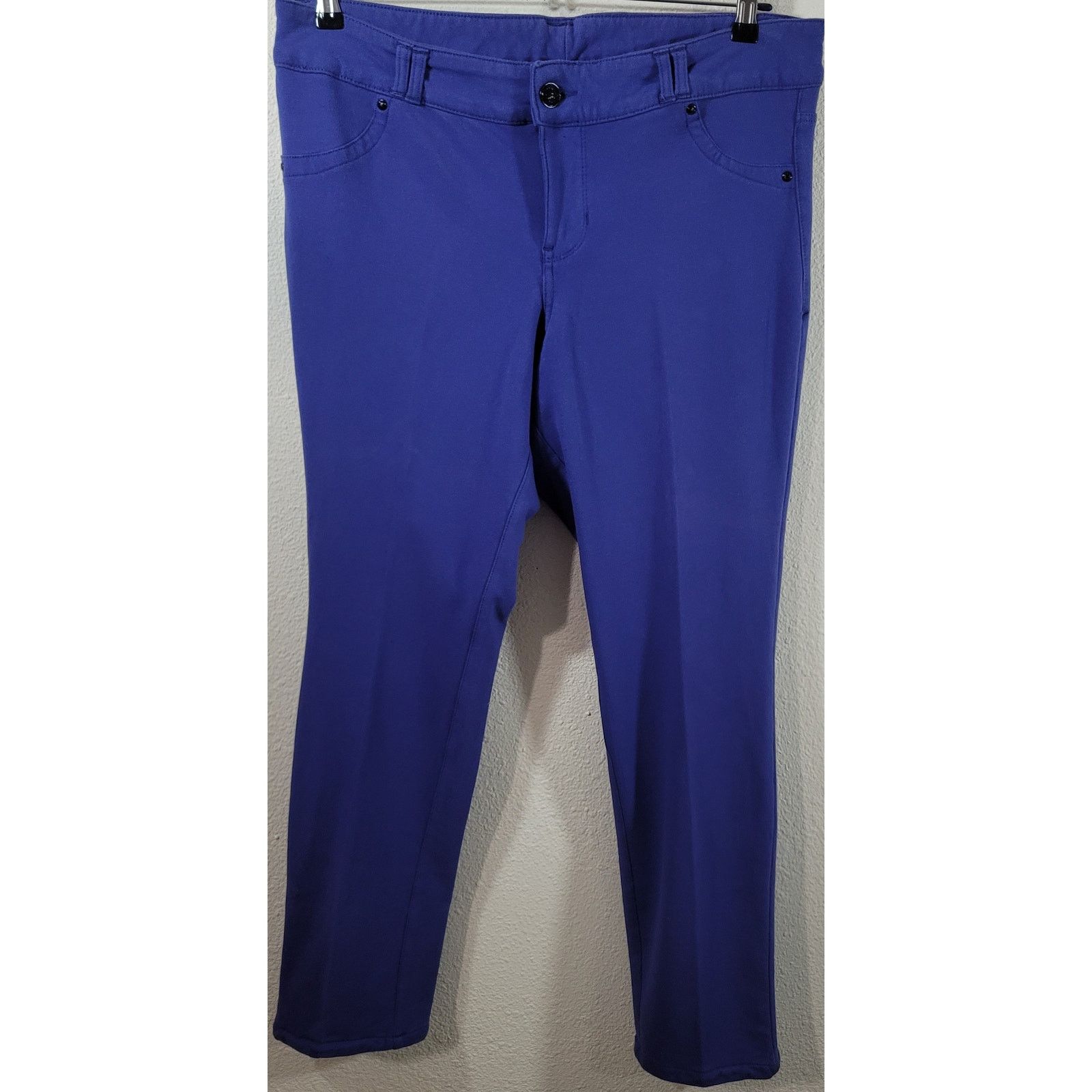 Other Lane Bryant Purple Flat Front Treggings Pants 16 Lightweight Size 38" / US 16 / IT 52 - 1 Thumbnail
