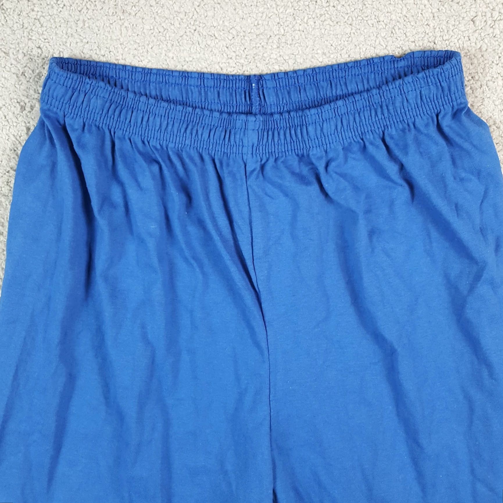Vintage Vintage 80s Blue Bird Flower Nature Sz XL Relaxed Stretch Paperbag Lounge Shorts Size 40" / US 18 - 2 Thumbnail