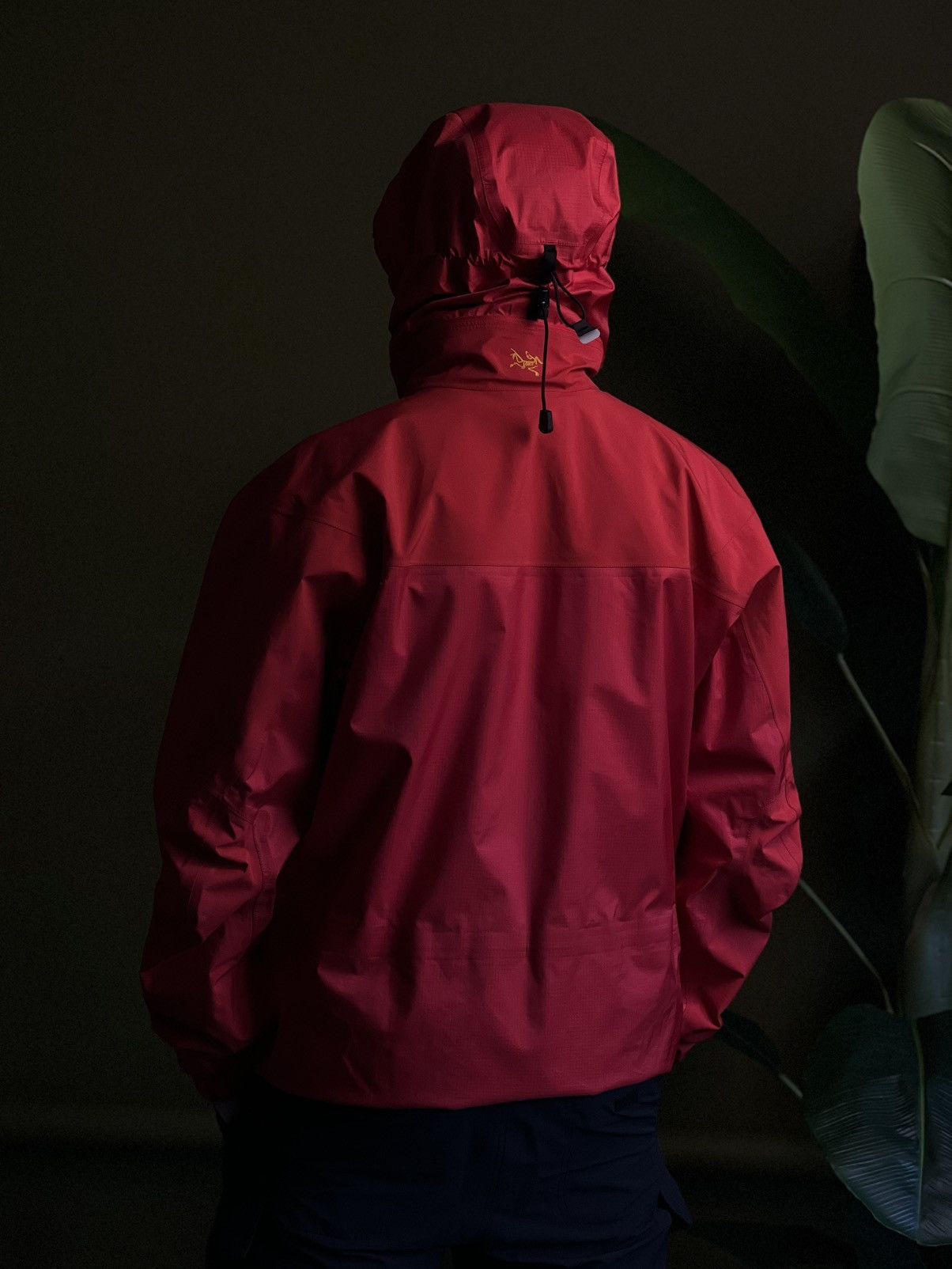 Arc'teryx × Vintage Rare Vintage Arc’teryx Theta LT Gore-Tex XCR Gold Logo M Size US M / EU 48-50 / 2 - 8 Thumbnail