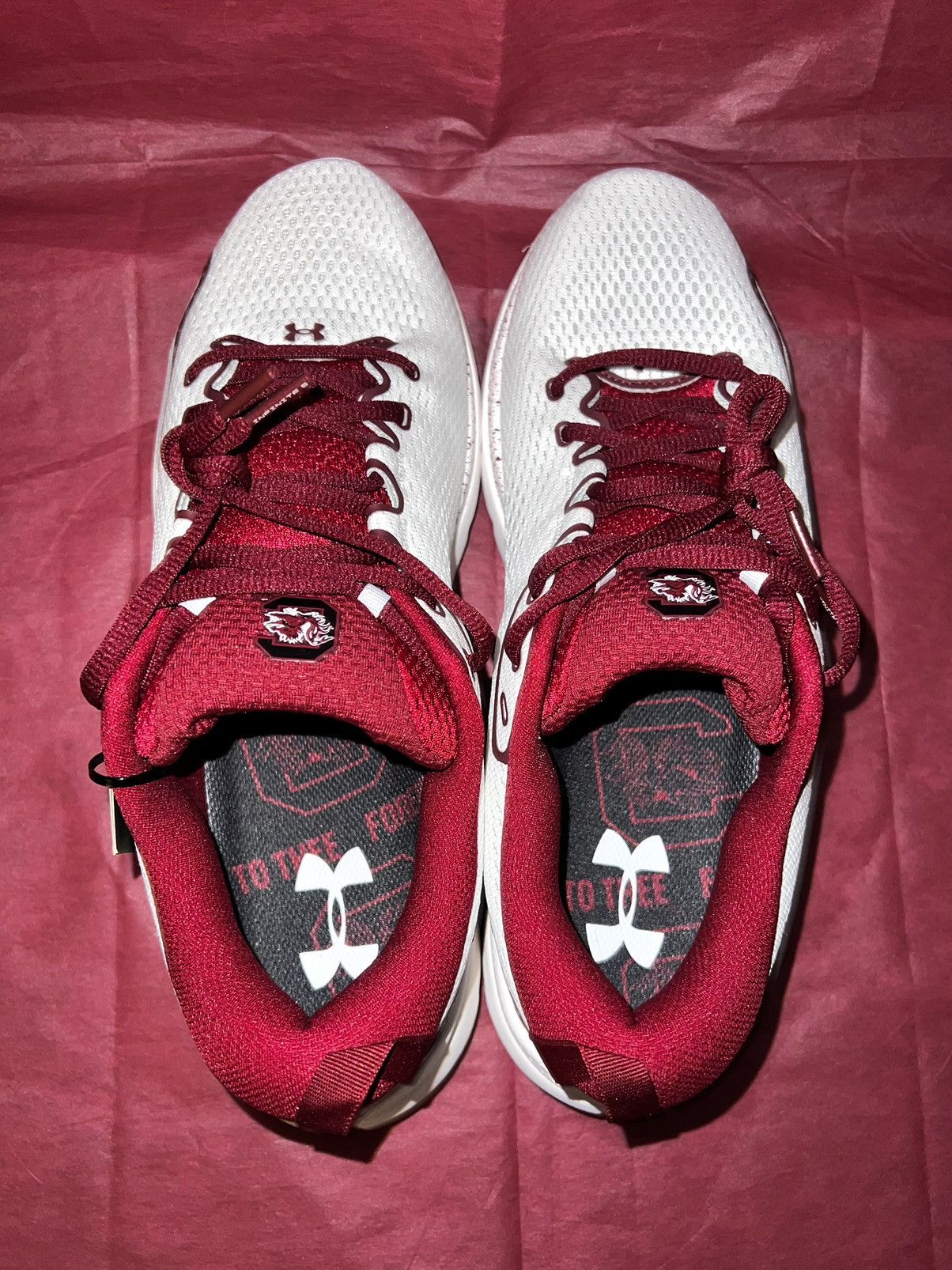 NCAA × Under Armour Under Armour Gamecocks Infinite 5 Size US 10.5 / EU 43-44 - 5 Thumbnail