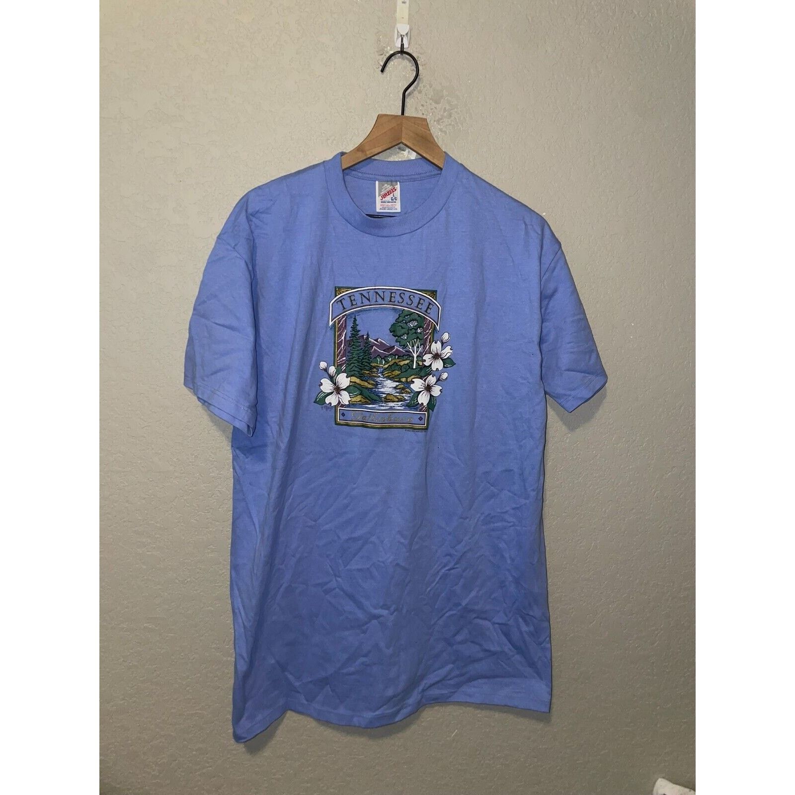 Jerzees Vintage Gatlinburg Shirt TN Tennessee Purple Tee VTG 90s L Size US L / EU 52-54 / 3 - 1 Thumbnail