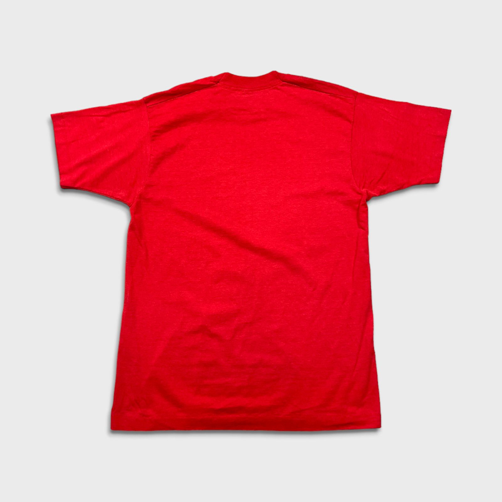 Fruit Of The Loom × Vintage VTG Fruit of The Loom Blank T Shirt Single Stitched 90s Tee Size US L / EU 52-54 / 3 - 3 Thumbnail