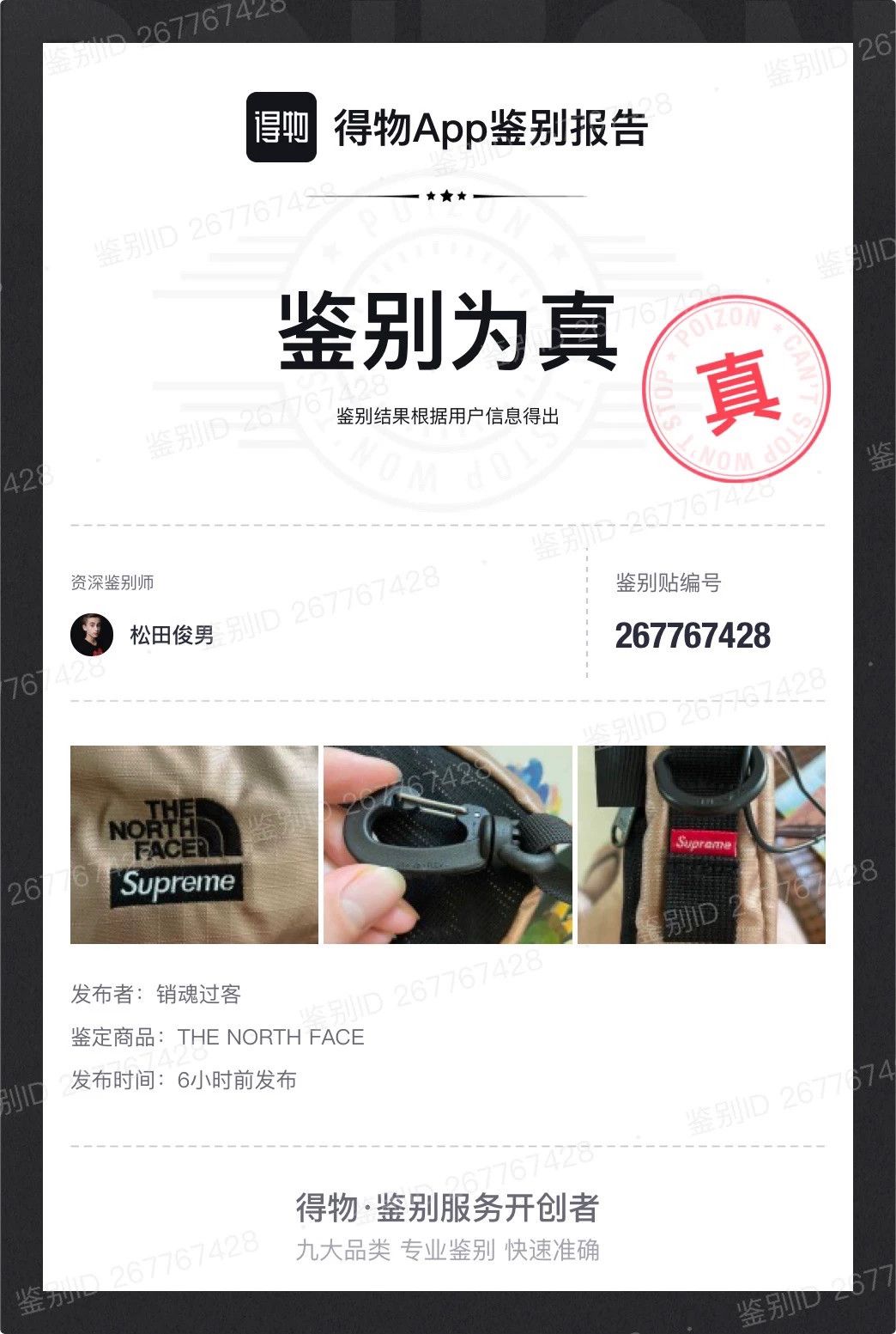 Supreme Supreme × The North Face 18SS Metallic Shoulder Bag Size ONE SIZE - 6 Thumbnail
