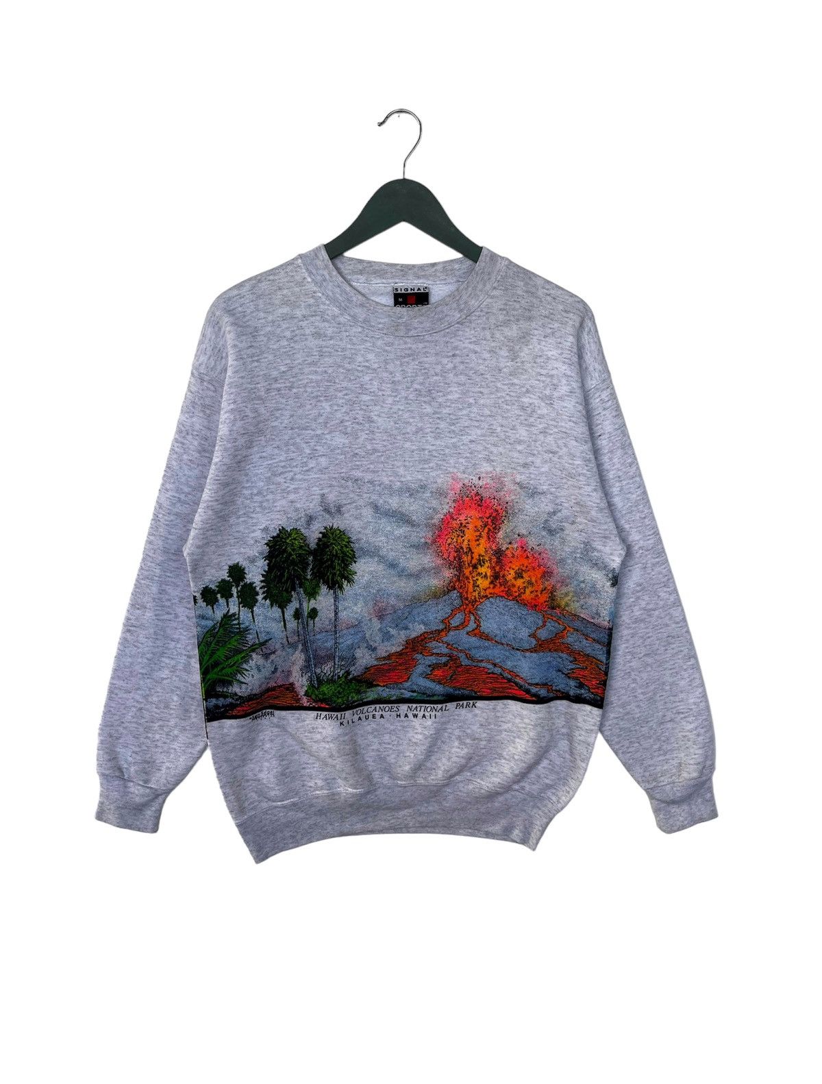 Signal Sport Vintage 1989 Hawaii Volcanoes National Park Sweatshirt Size US M / EU 48-50 / 2 - 1 Thumbnail
