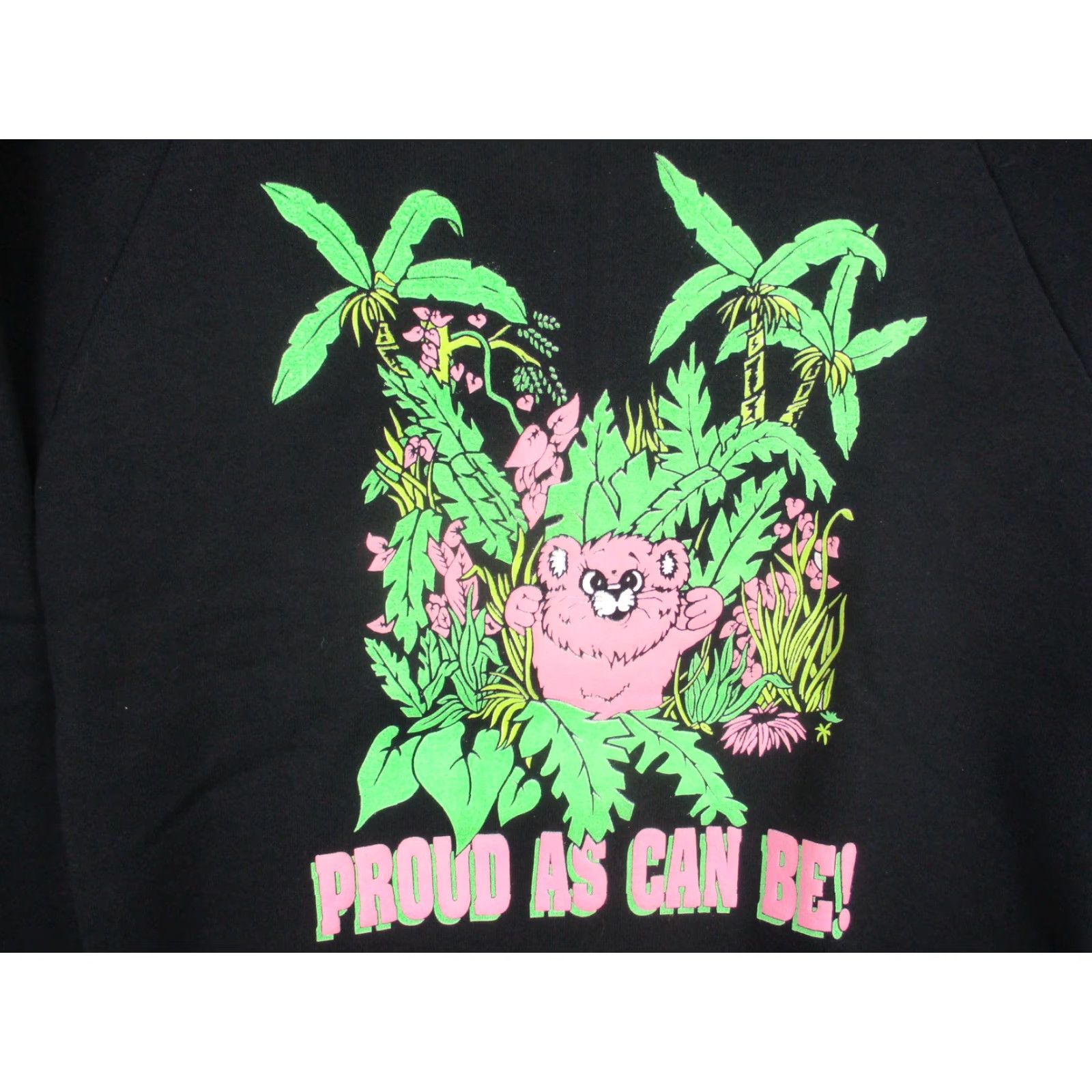 Fruit Of The Loom VINTAGE Fruit Of The Loom Sweatshirt Mens M Black Proud As Can Be Bear 90s Graphic PrintCrewneck Raglan Sleeve Pullover Fleece Cotton Polyester Size US M / EU 48-50 / 2 - 2 Thumbnail