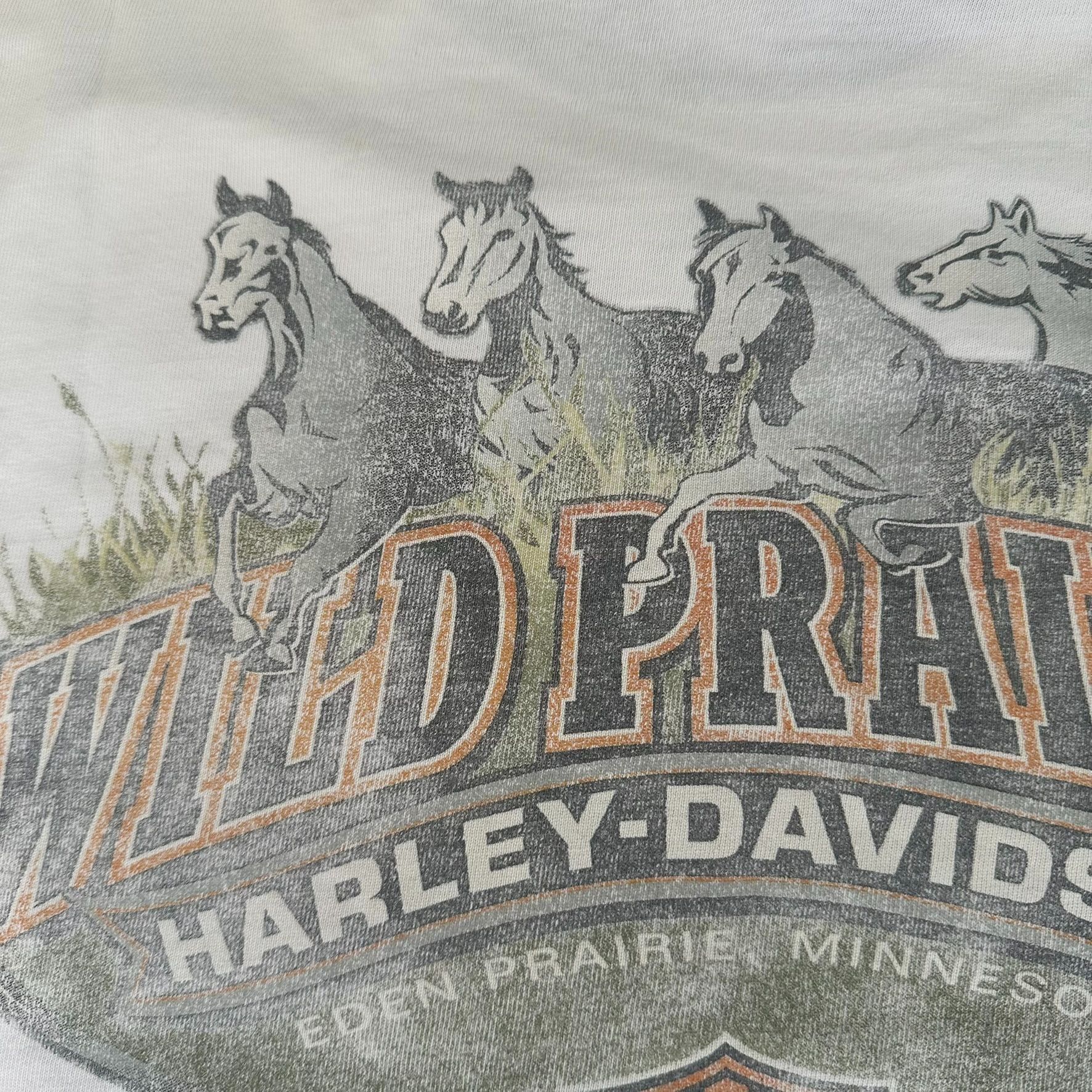 Harley Davidson Vintage Y2K Harley Davidson T-Shirt Motorcycle Biker Tee Size US L / EU 52-54 / 3 - 3 Thumbnail