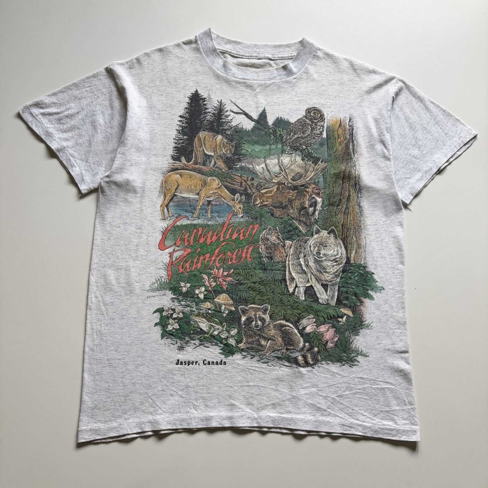 Vintage Canadian Rainforest Shirt Large 90s Animal Art Rare