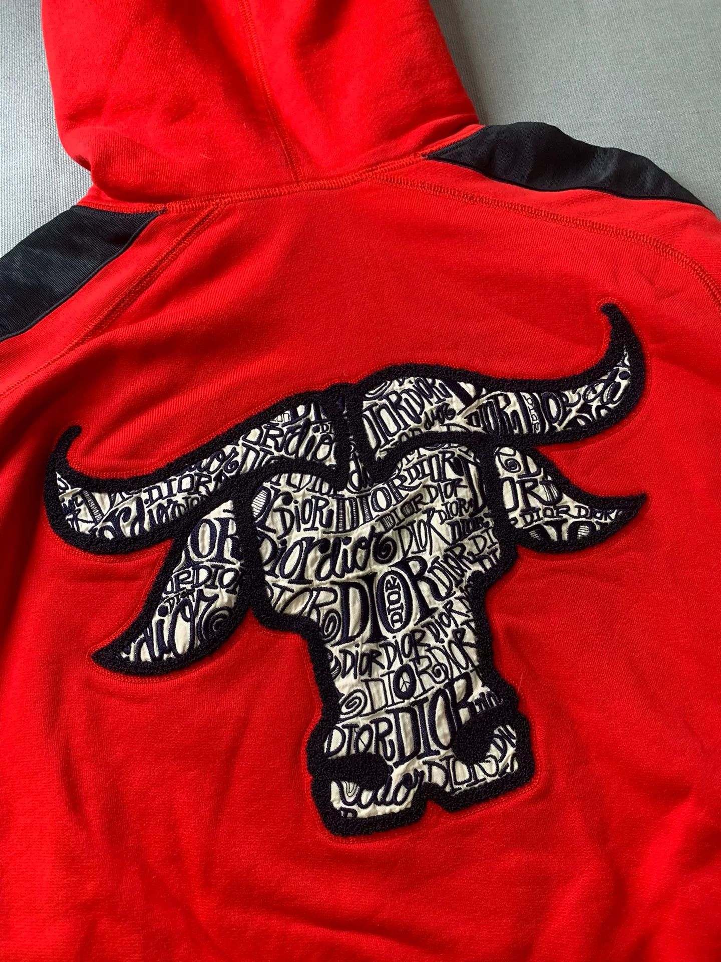 Dior Dior Bull Head Embroidery Wool Blend Hoodie Size US M / EU 48-50 / 2 - 1 Thumbnail