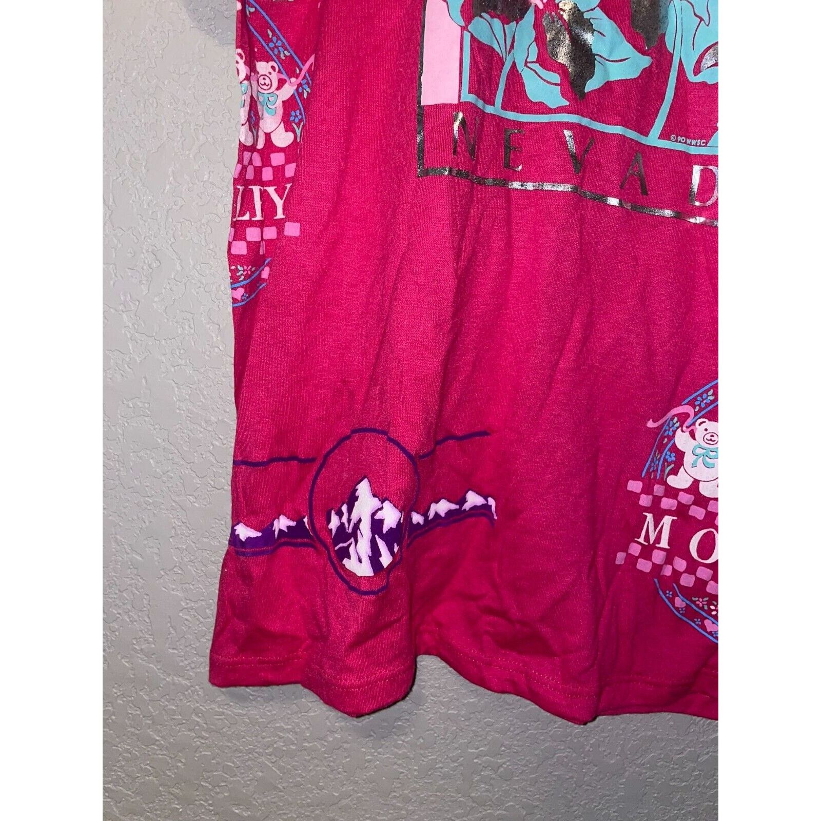 Jerzees Vintage Test Print Shirt Lake Tahoe Napa Bears Tee VTG 90s L Size US L / EU 52-54 / 3 - 8 Thumbnail