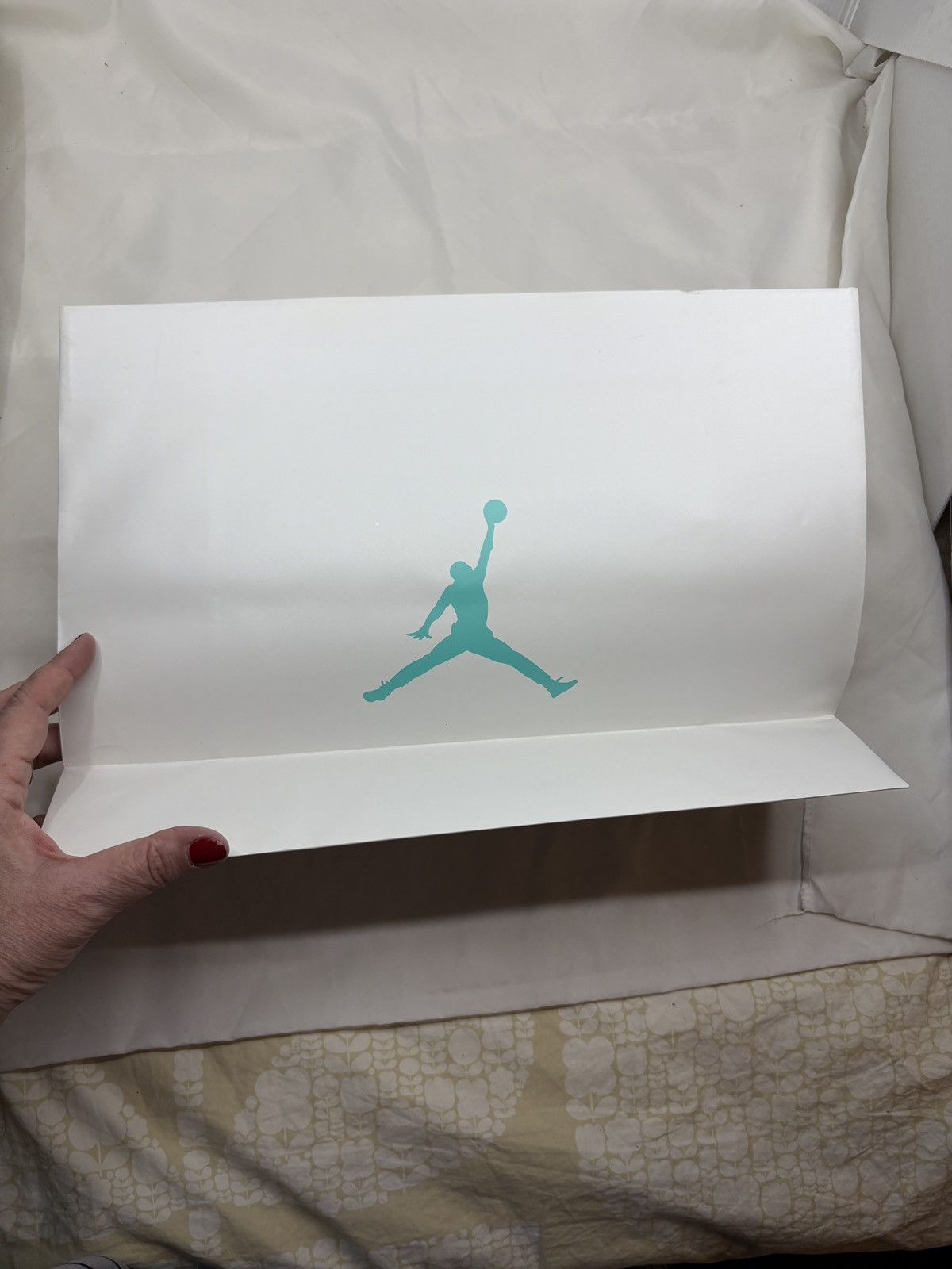 Other Air Jordan 2015 Promo 30th Anniversary Book & Shop Bag RARE Size ONE SIZE - 5 Thumbnail